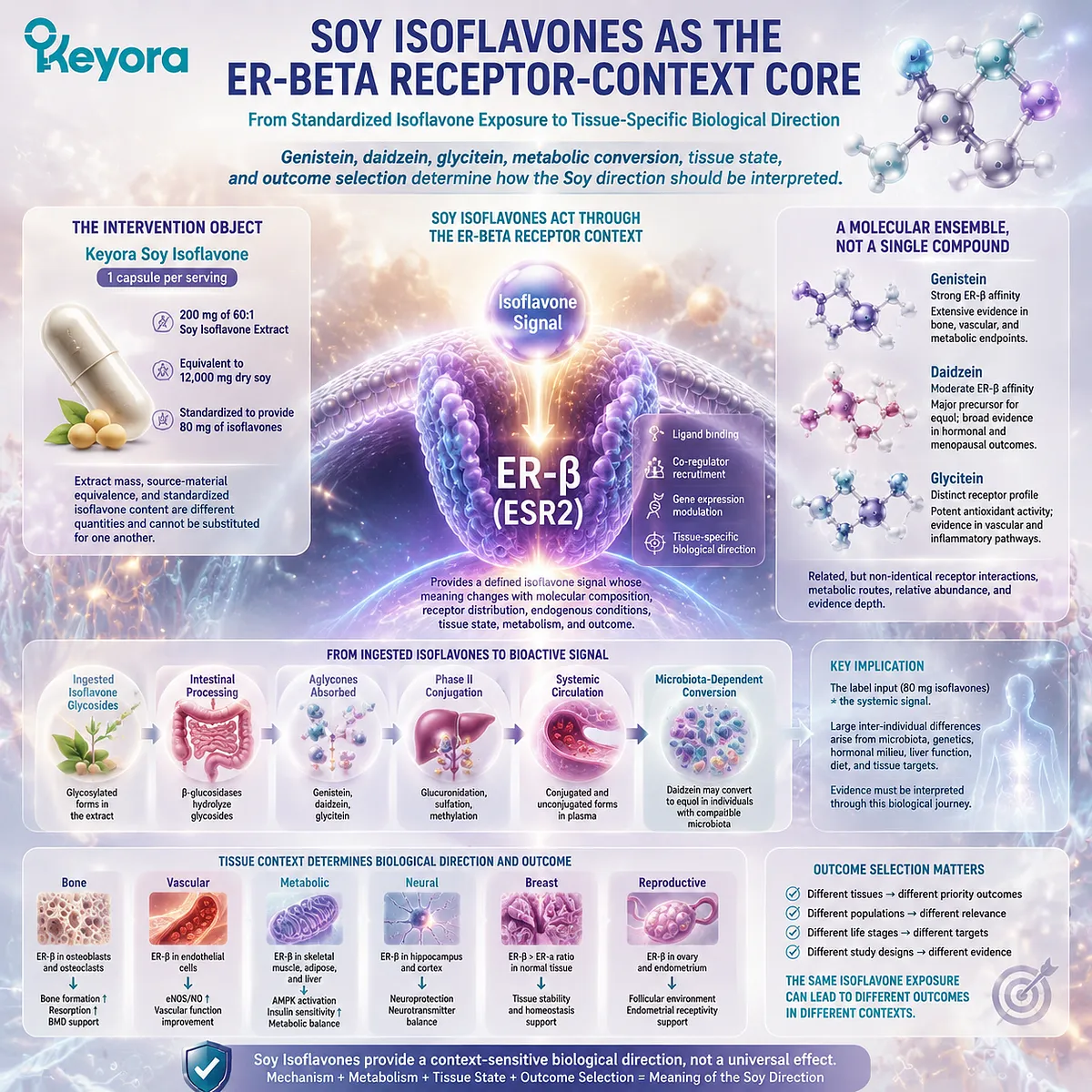Soy isoflavones support menopause wellness through ER-β signaling, genistein daidzein glycitein metabolism, tissue-specific response, and Keyora SERM-beta Master Switch interpretation Soy isoflavones support menopause wellness through ER-β signaling, genistein daidzein glycitein metabolism, tissue-specific response, and Keyora SERM-beta Master Switch interpretation