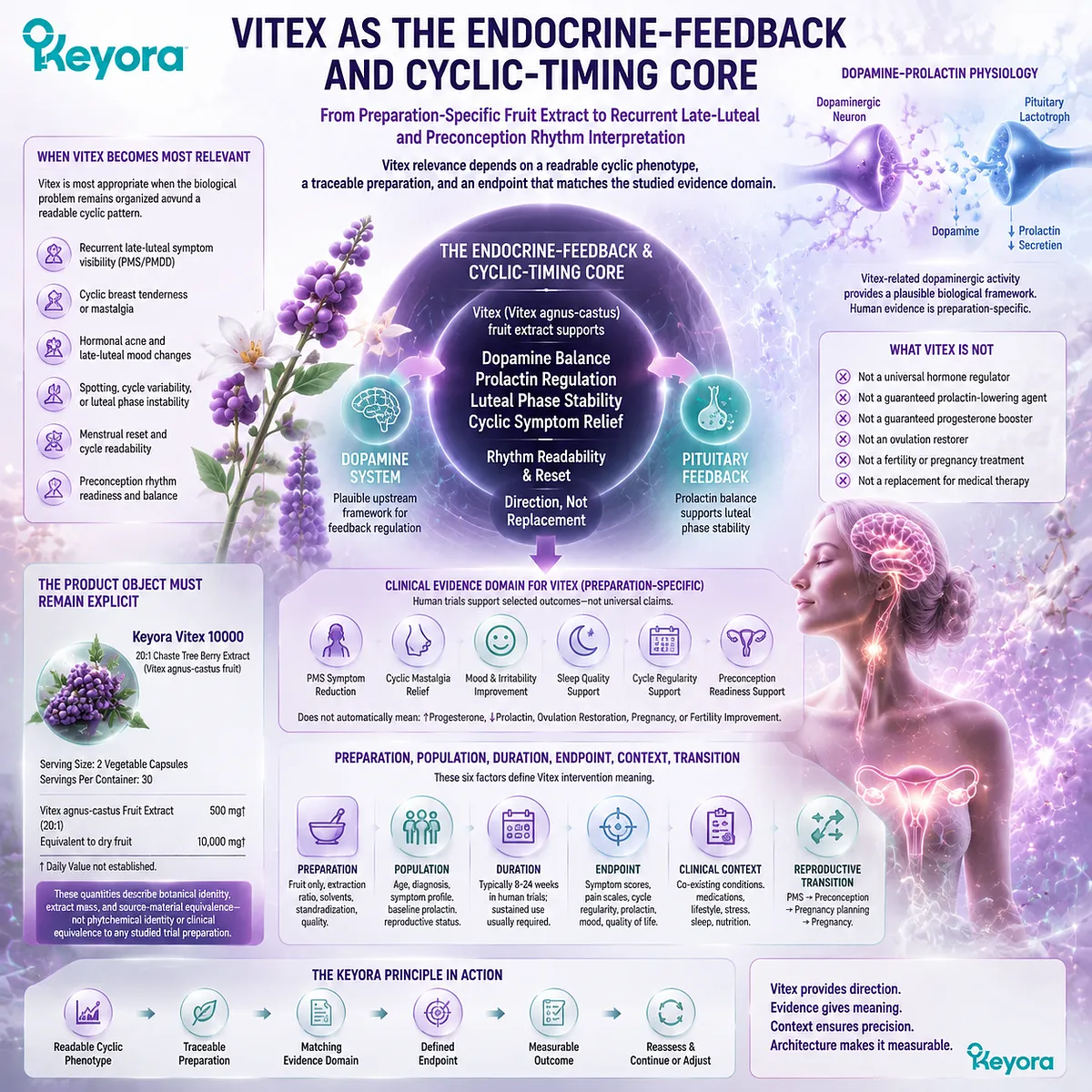 Vitex supports PMS and female rhythm through endocrine-feedback timing, dopamine-prolactin signaling, preparation-specific evidence, and Keyora Endocrine-Feedback Timing Core framework Vitex supports PMS and female rhythm through endocrine-feedback timing, dopamine-prolactin signaling, preparation-specific evidence, and Keyora Endocrine-Feedback Timing Core framework