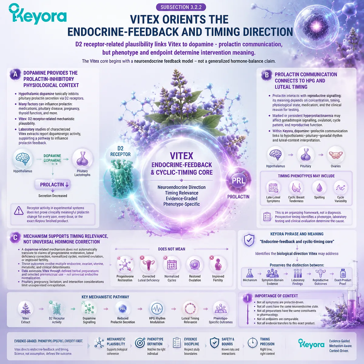 Vitex supports PMS and cycle rhythm through dopamine D2 signaling, prolactin feedback context, luteal timing, and Keyora Endocrine-Feedback Timing Core framework Vitex supports PMS and cycle rhythm through dopamine D2 signaling, prolactin feedback context, luteal timing, and Keyora Endocrine-Feedback Timing Core framework