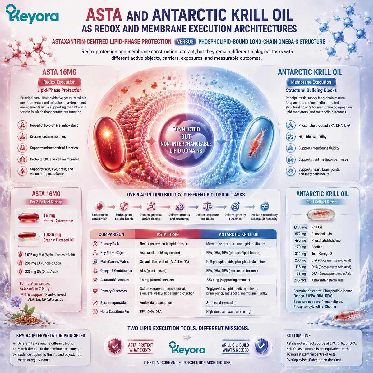Oxidative stress and membrane support through astaxanthin redox protection, phospholipid omega-3 structure, EPA DHA delivery, and Keyora Astaxanthin Matrix architecture Oxidative stress and membrane support through astaxanthin redox protection, phospholipid omega-3 structure, EPA DHA delivery, and Keyora Astaxanthin Matrix architecture