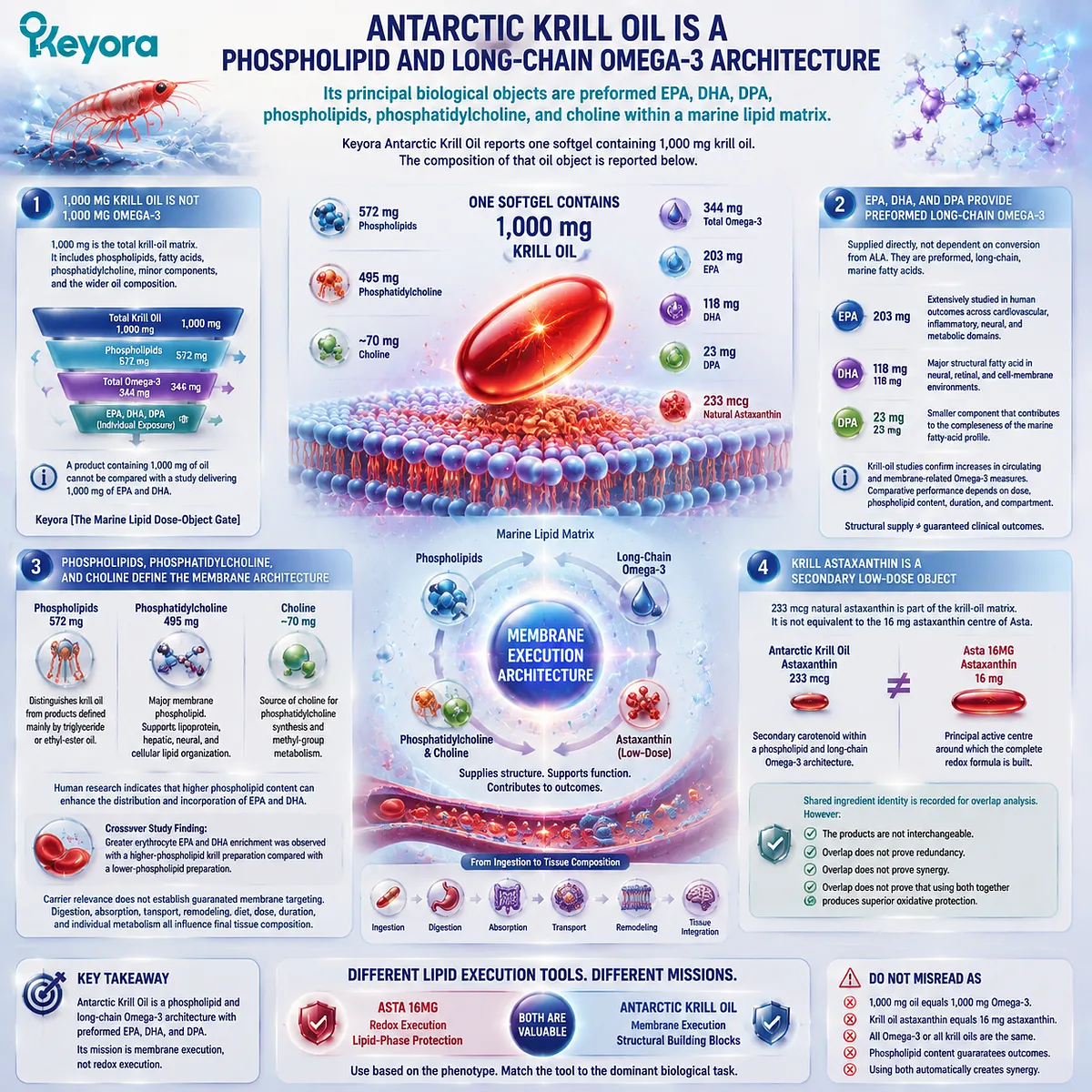 Krill oil supports membrane health through EPA DHA DPA, phospholipid delivery, phosphatidylcholine structure, and Keyora Marine Lipid Dose-Object Gate framework Krill oil supports membrane health through EPA DHA DPA, phospholipid delivery, phosphatidylcholine structure, and Keyora Marine Lipid Dose-Object Gate framework
