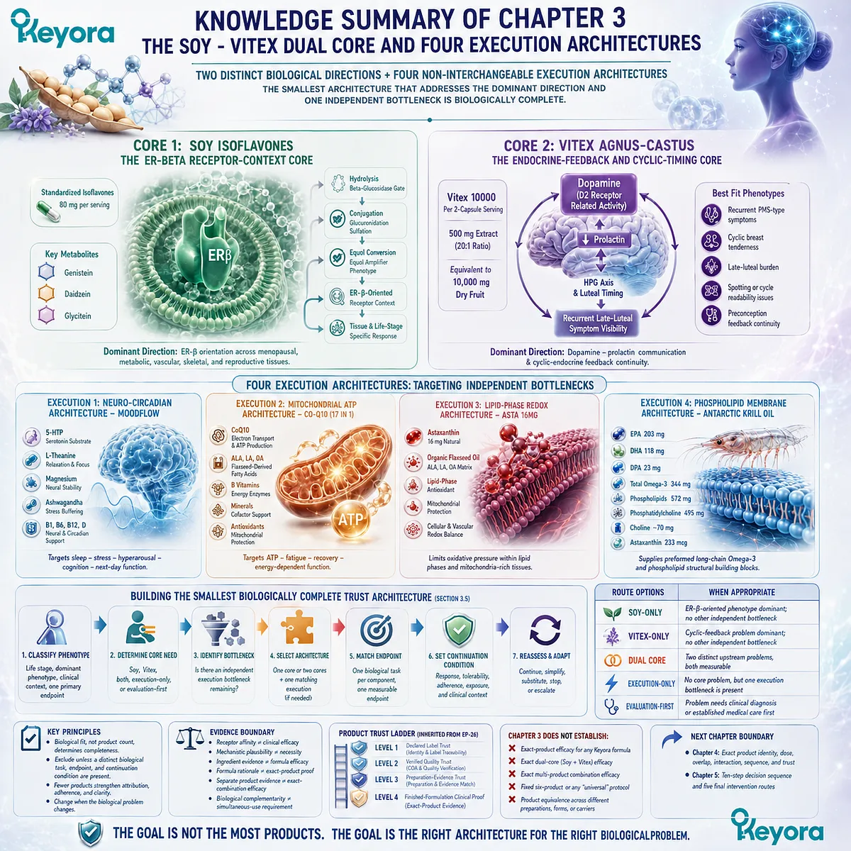 Female chrono-nutrition architecture maps Soy ER-β signaling, Vitex cyclic timing, four execution pathways, and Keyora Dual-Core and Four-Execution Architecture Female chrono-nutrition architecture maps Soy ER-β signaling, Vitex cyclic timing, four execution pathways, and Keyora Dual-Core and Four-Execution Architecture