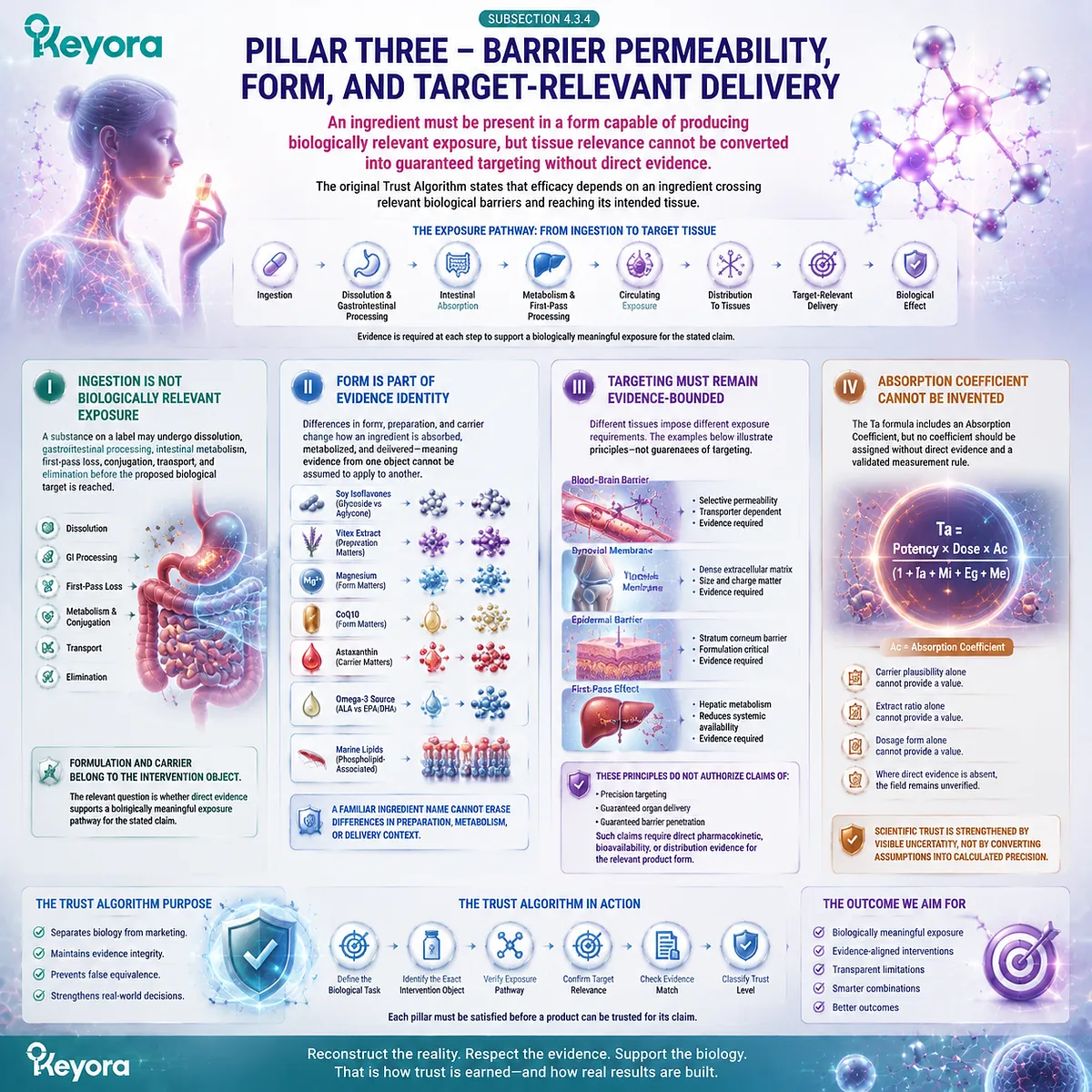 Female supplement delivery trust evaluates absorption, formulation, biological exposure, and evidence-bounded targeting through Keyora Female Rhythm Combination Trust Algorithm. Female supplement delivery trust evaluates absorption, formulation, biological exposure, and evidence-bounded targeting through Keyora Female Rhythm Combination Trust Algorithm.