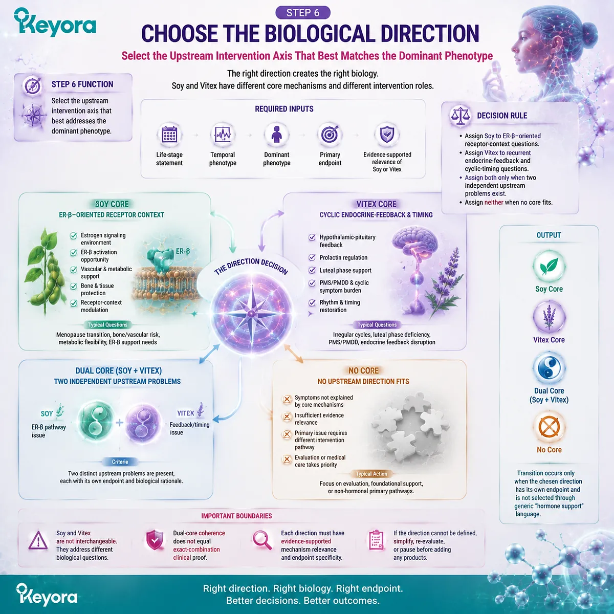 Soy isoflavones and Vitex support female rhythm balance through distinct biological directions, including ER-β signaling and cyclic feedback within Keyora Ten-Step Female Chrono-Nutrition Decision Sequence. Soy isoflavones and Vitex support female rhythm balance through distinct biological directions, including ER-β signaling and cyclic feedback within Keyora Ten-Step Female Chrono-Nutrition Decision Sequence.