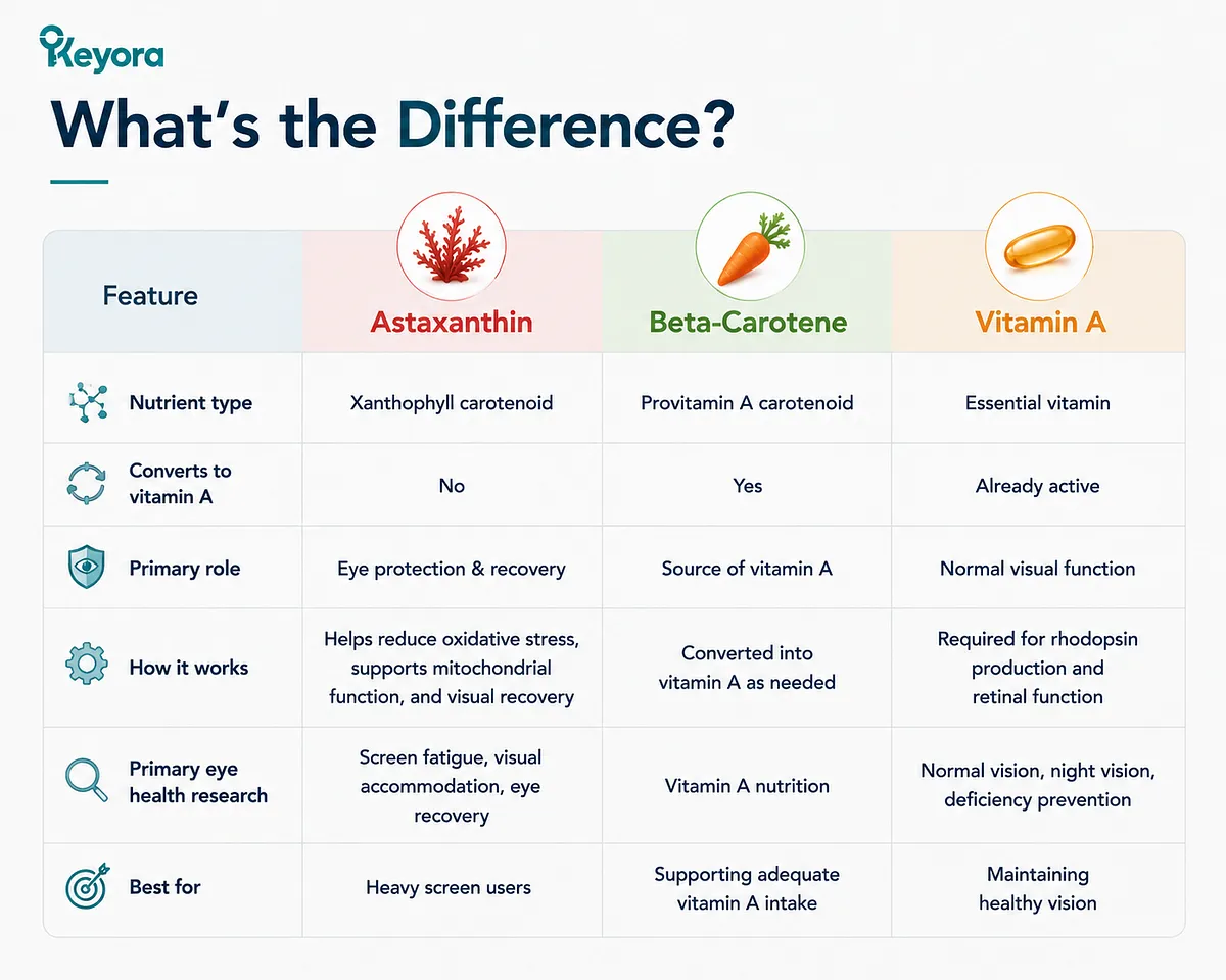 KEYORA side-by-side comparison table titled "What's the Difference?". It evaluates Astaxanthin, Beta-Carotene, and Vitamin A across nutrient type, Vitamin A conversion, primary role, mechanisms, research focus, and target user recommendations. KEYORA side-by-side comparison table titled "What's the Difference?". It evaluates Astaxanthin, Beta-Carotene, and Vitamin A across nutrient type, Vitamin A conversion, primary role, mechanisms, research focus, and target user recommendations.
