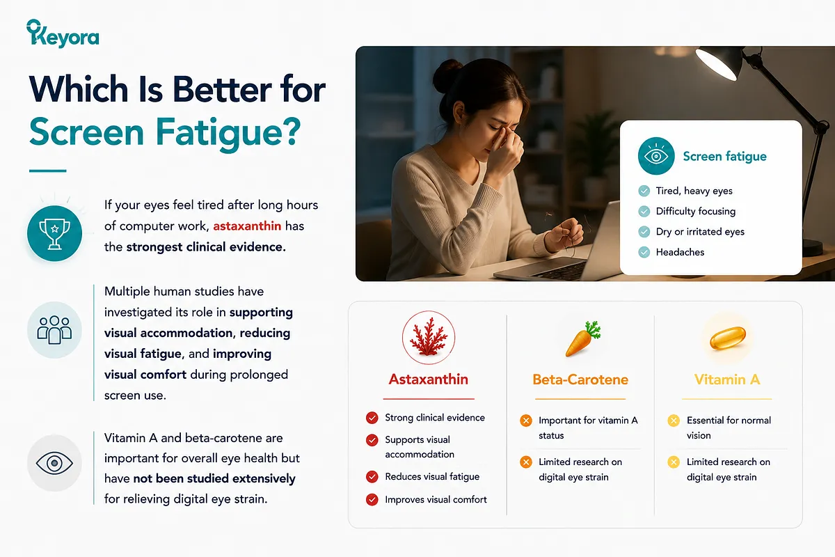 KEYORA comparison slide titled "Which Is Better for Screen Fatigue?", depicting a tired woman at a laptop. It highlights that Astaxanthin has strong clinical evidence for visual accommodation and screen fatigue, whereas Vitamin A and Beta-carotene lack extensive digital strain research. KEYORA comparison slide titled "Which Is Better for Screen Fatigue?", depicting a tired woman at a laptop. It highlights that Astaxanthin has strong clinical evidence for visual accommodation and screen fatigue, whereas Vitamin A and Beta-carotene lack extensive digital strain research.