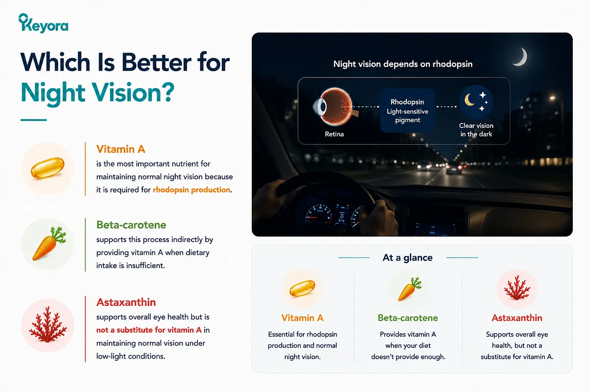KEYORA graphic titled "Which Is Better for Night Vision?", featuring a night driving photo overlay with a retina diagram. It explains that Vitamin A is essential for rhodopsin production and low-light vision, with Beta-carotene providing indirect support, while Astaxanthin is not a substitute for Vitamin A. KEYORA graphic titled "Which Is Better for Night Vision?", featuring a night driving photo overlay with a retina diagram. It explains that Vitamin A is essential for rhodopsin production and low-light vision, with Beta-carotene providing indirect support, while Astaxanthin is not a substitute for Vitamin A.
