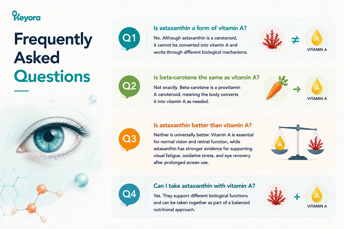 KEYORA FAQ infographic titled "Frequently Asked Questions", set against a clean background with a detailed eye illustration. The slide answers four key questions: Q1 clarifies that Astaxanthin is a carotenoid that cannot convert to Vitamin A; Q2 explains Beta-carotene as a provitamin A carotenoid that converts to Vitamin A as needed; Q3 compares their benefits, noting Vitamin A is essential for normal vision while Astaxanthin excels in visual fatigue and screen recovery; Q4 confirms they can be taken together for a balanced nutritional approach. KEYORA FAQ infographic titled "Frequently Asked Questions", set against a clean background with a detailed eye illustration. The slide answers four key questions: Q1 clarifies that Astaxanthin is a carotenoid that cannot convert to Vitamin A; Q2 explains Beta-carotene as a provitamin A carotenoid that converts to Vitamin A as needed; Q3 compares their benefits, noting Vitamin A is essential for normal vision while Astaxanthin excels in visual fatigue and screen recovery; Q4 confirms they can be taken together for a balanced nutritional approach.