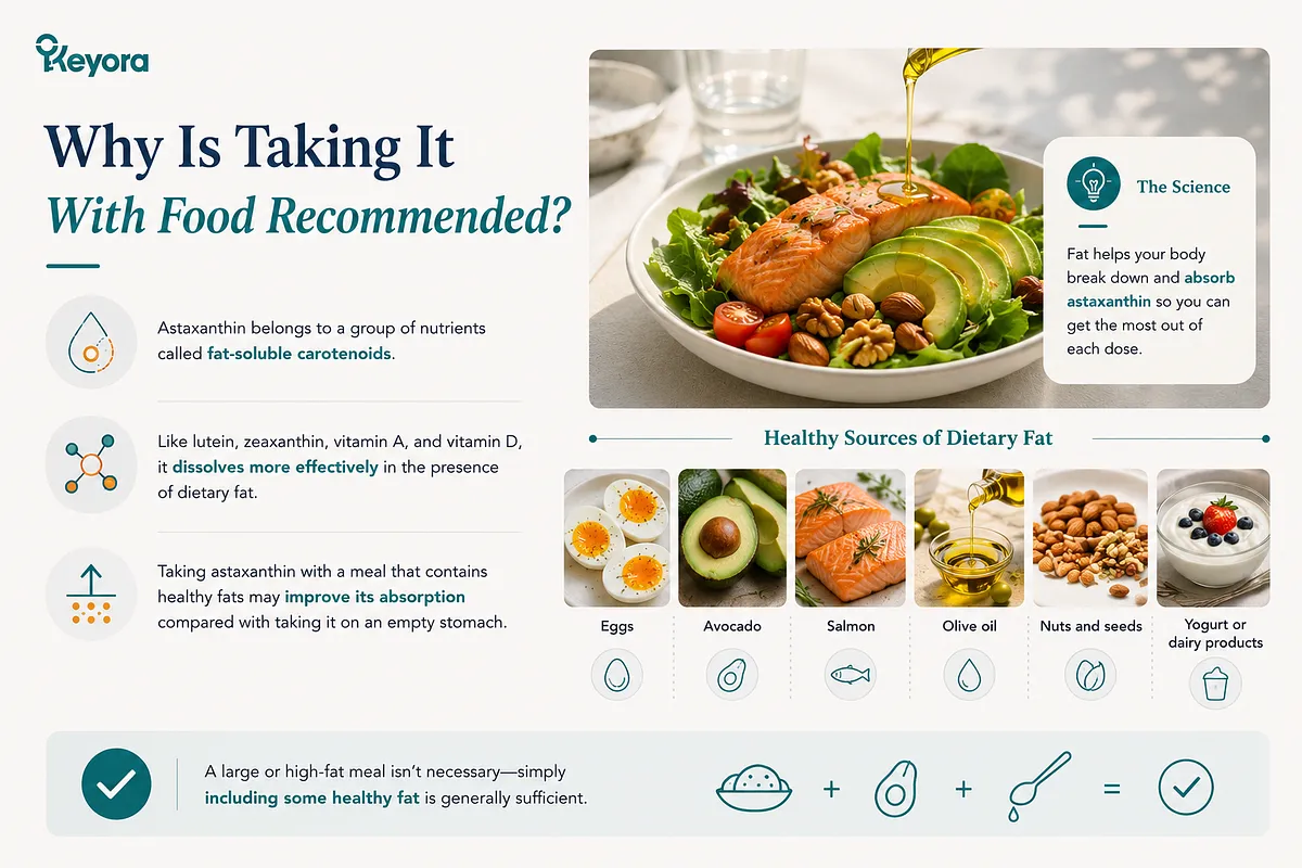 KEYORA educational diagram titled "Why Is Taking It With Food Recommended?", showing olive oil poured over a salmon and avocado salad. It breaks down dietary fat sources (eggs, avocado, salmon, olive oil, nuts/seeds, yogurt) and explains that fat-soluble carotenoids like astaxanthin dissolve and absorb far more effectively with dietary fats. KEYORA educational diagram titled "Why Is Taking It With Food Recommended?", showing olive oil poured over a salmon and avocado salad. It breaks down dietary fat sources (eggs, avocado, salmon, olive oil, nuts/seeds, yogurt) and explains that fat-soluble carotenoids like astaxanthin dissolve and absorb far more effectively with dietary fats.