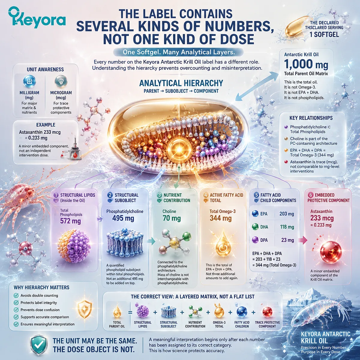 Krill oil dose hierarchy explains total oil, phospholipids, EPA DHA Omega-3, choline, and astaxanthin relationships through Keyora Krill Oil Matrix label interpretation. Krill oil dose hierarchy explains total oil, phospholipids, EPA DHA Omega-3, choline, and astaxanthin relationships through Keyora Krill Oil Matrix label interpretation.