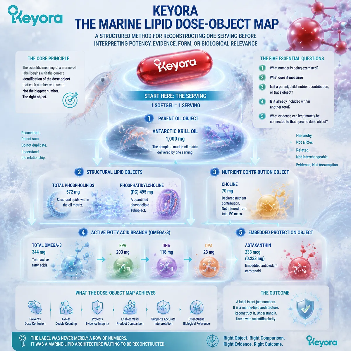 Krill oil label reconstruction maps serving dose, phospholipids, EPA DHA Omega-3, choline, and astaxanthin through Keyora Marine Lipid Dose-Object Map framework. Krill oil label reconstruction maps serving dose, phospholipids, EPA DHA Omega-3, choline, and astaxanthin through Keyora Marine Lipid Dose-Object Map framework.
