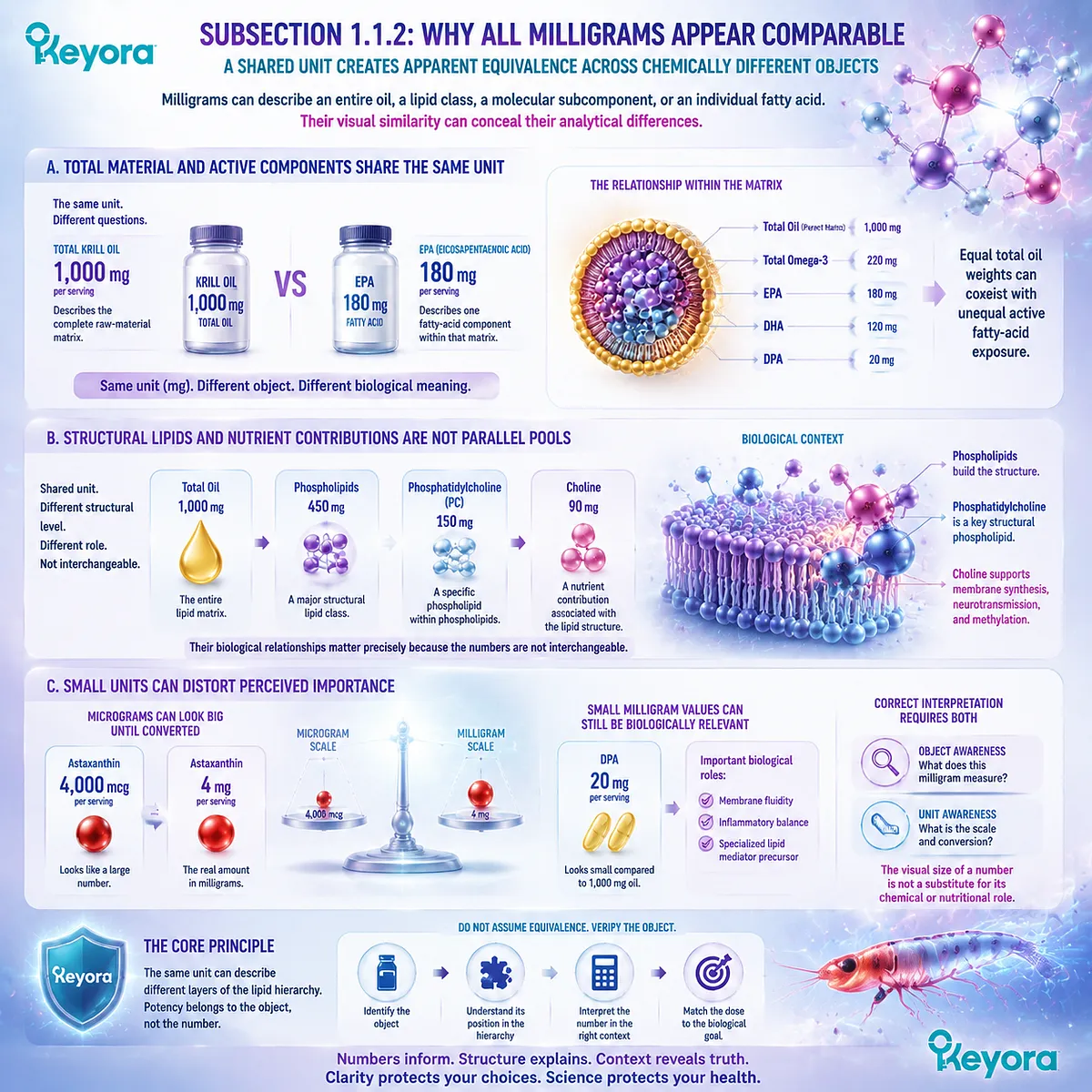 Krill oil label hierarchy explains why identical milligram units hide different dose objects, including Omega-3, EPA, phospholipids, and choline through Keyora Marine Lipid Dose-Object Map. Krill oil label hierarchy explains why identical milligram units hide different dose objects, including Omega-3, EPA, phospholipids, and choline through Keyora Marine Lipid Dose-Object Map.