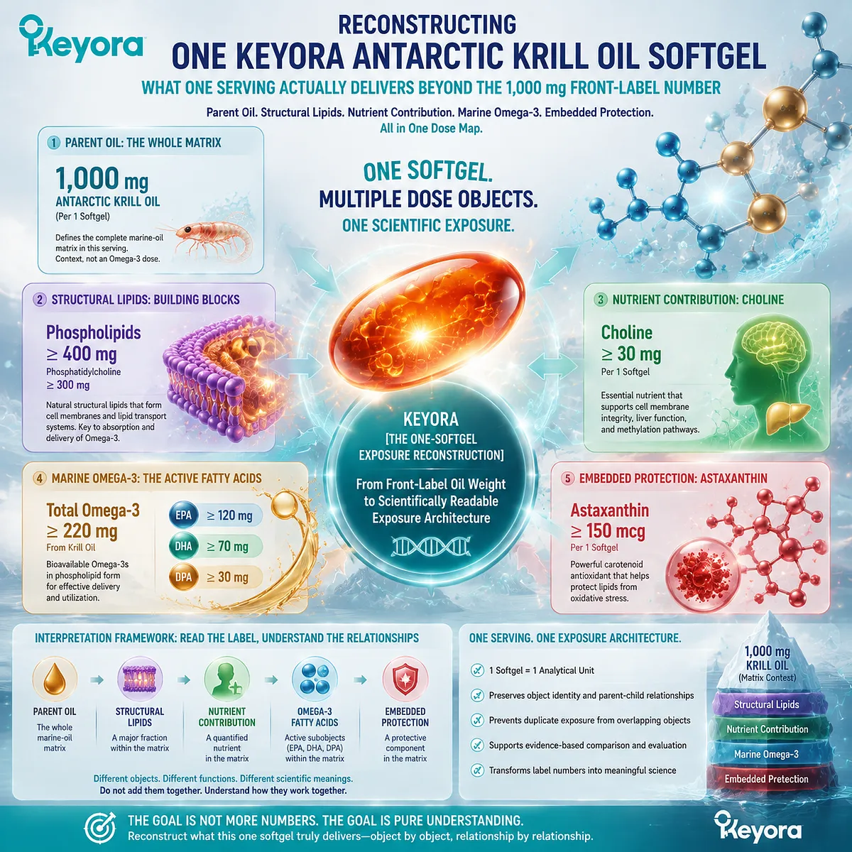 Antarctic Krill Oil softgel dose map showing Omega-3 EPA DHA, phospholipid structure, choline and Astaxanthin exposure reconstruction through Keyora One-Softgel Exposure Reconstruction framework Antarctic Krill Oil softgel dose map showing Omega-3 EPA DHA, phospholipid structure, choline and Astaxanthin exposure reconstruction through Keyora One-Softgel Exposure Reconstruction framework