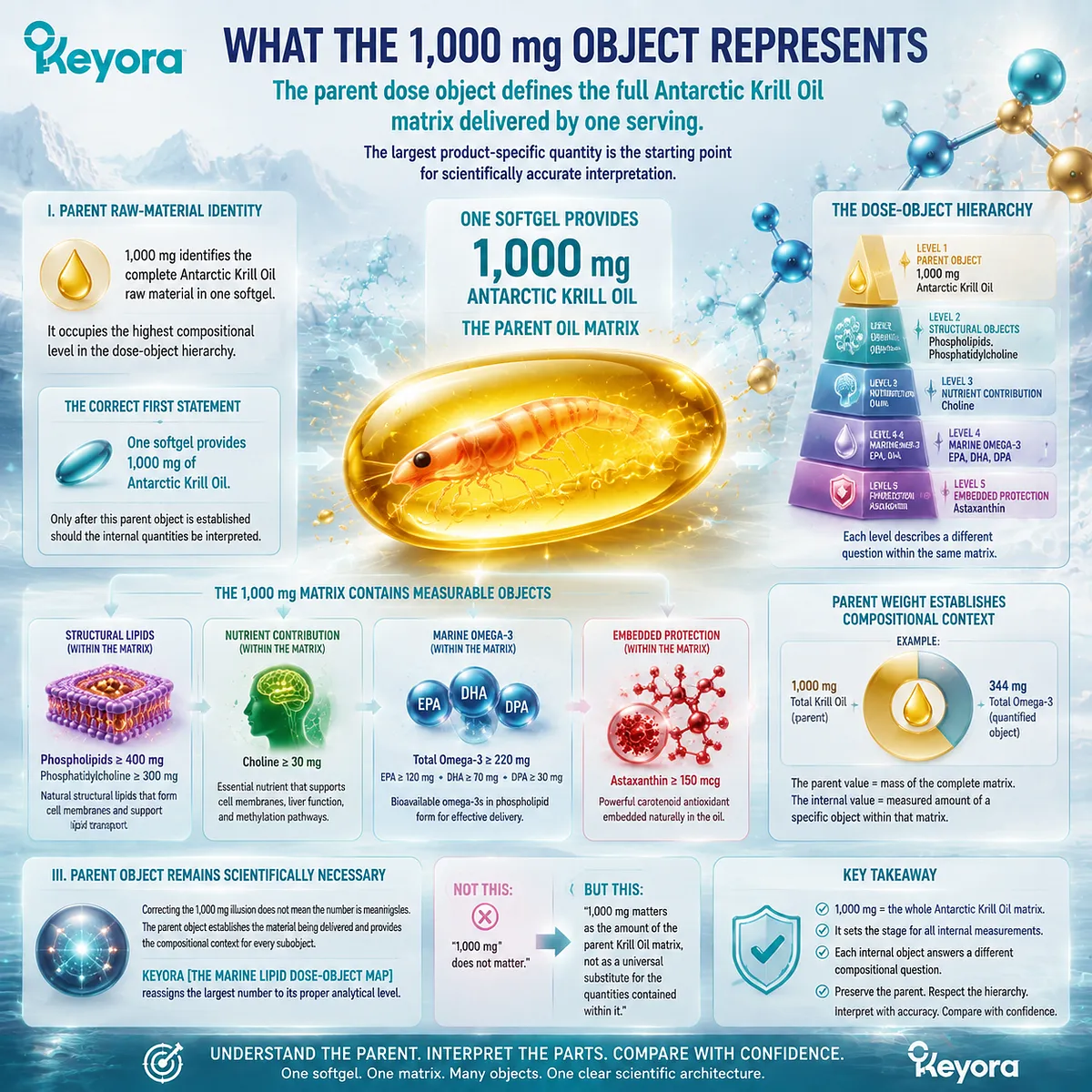 Antarctic Krill Oil 1000 mg parent matrix defines complete marine oil context before interpreting Omega-3 and phospholipid composition through Keyora Marine Lipid Dose-Object Map Antarctic Krill Oil 1000 mg parent matrix defines complete marine oil context before interpreting Omega-3 and phospholipid composition through Keyora Marine Lipid Dose-Object Map