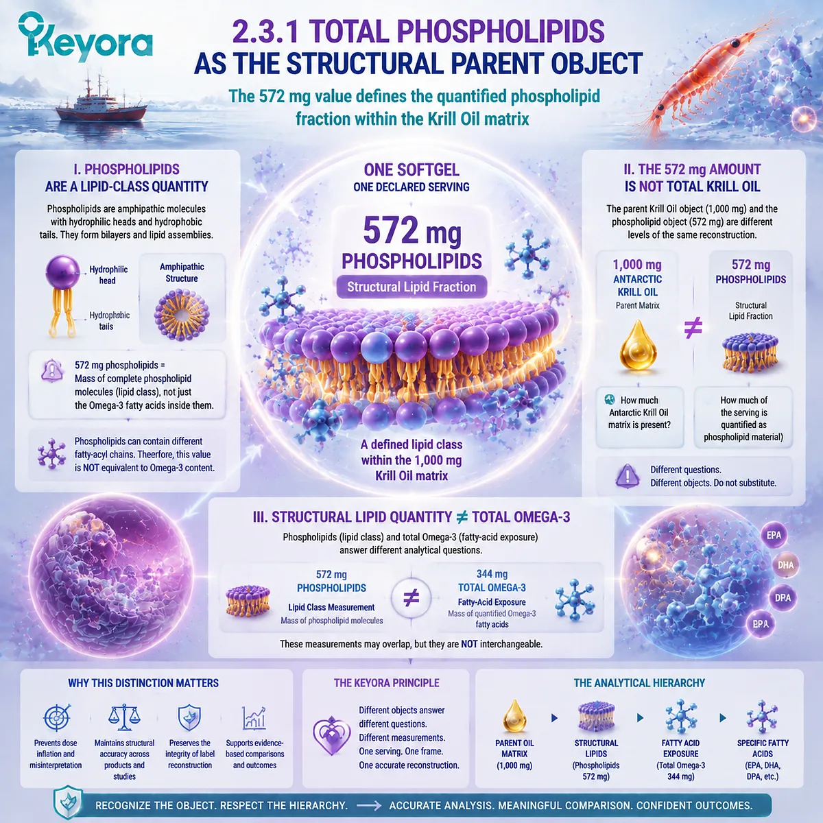 Antarctic Krill Oil phospholipid fraction explains 572 mg structural lipid quantity versus total Omega-3 through lipid-class analysis using Keyora Marine Lipid Dose-Object Map Antarctic Krill Oil phospholipid fraction explains 572 mg structural lipid quantity versus total Omega-3 through lipid-class analysis using Keyora Marine Lipid Dose-Object Map