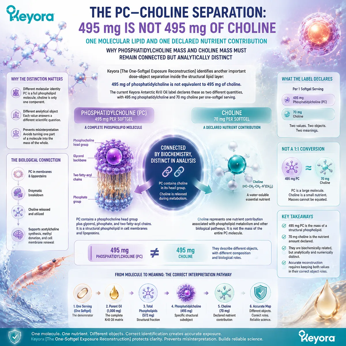 Antarctic Krill Oil phosphatidylcholine and choline separation explains structural lipid mass versus nutrient contribution through Keyora One-Softgel Exposure Reconstruction framework Antarctic Krill Oil phosphatidylcholine and choline separation explains structural lipid mass versus nutrient contribution through Keyora One-Softgel Exposure Reconstruction framework