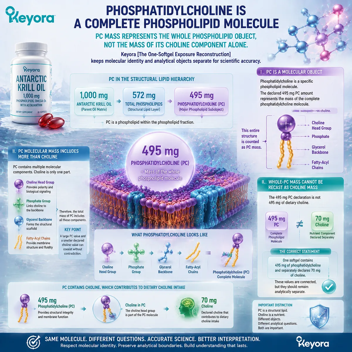 Antarctic Krill Oil phosphatidylcholine molecule structure explains why 495 mg PC differs from choline nutrient mass using Keyora Marine Lipid Dose-Object Map framework Antarctic Krill Oil phosphatidylcholine molecule structure explains why 495 mg PC differs from choline nutrient mass using Keyora Marine Lipid Dose-Object Map framework