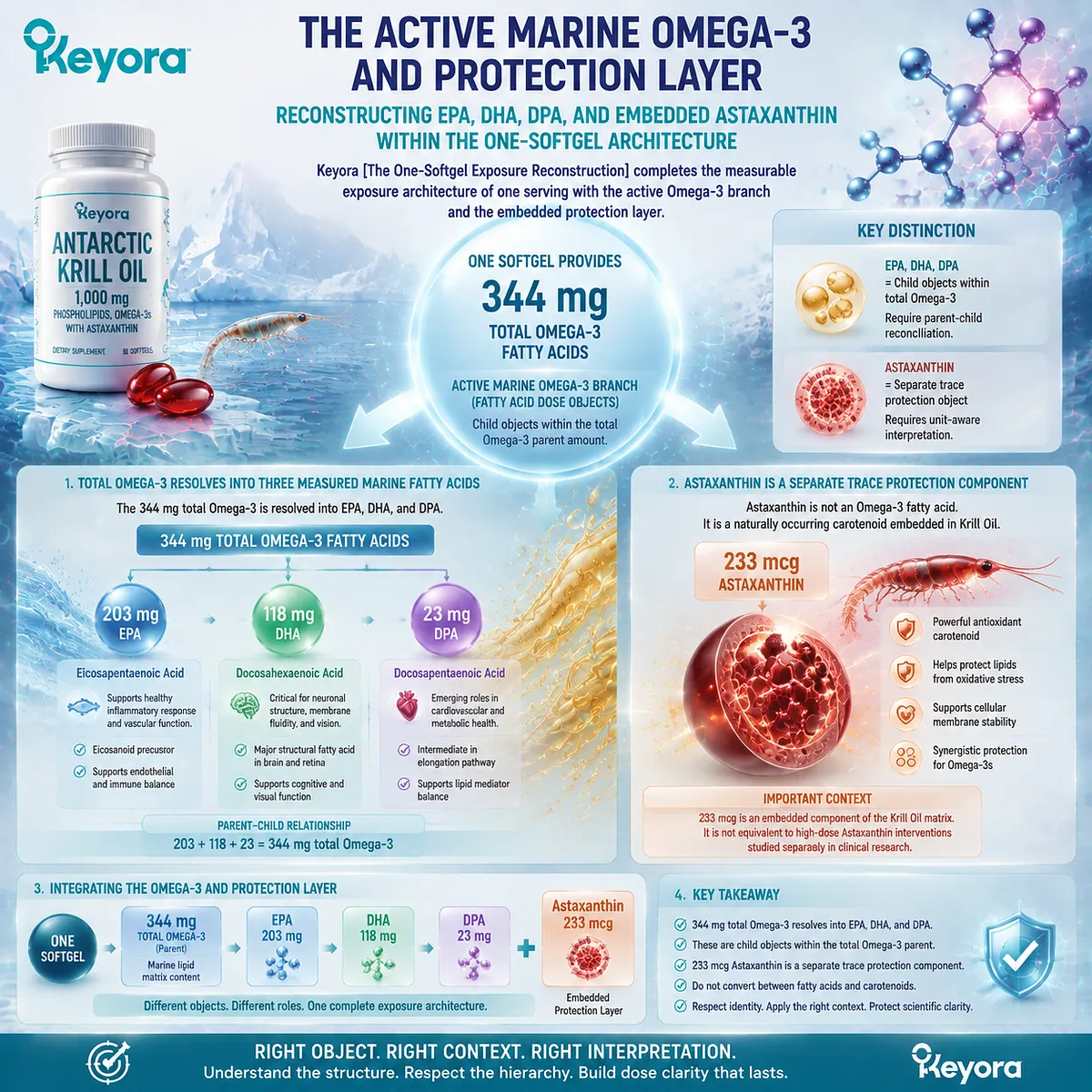 Antarctic Krill Oil Omega-3 EPA DHA DPA and Astaxanthin dose architecture shows fatty-acid hierarchy and trace protection layer through Keyora One-Softgel Exposure Reconstruction Antarctic Krill Oil Omega-3 EPA DHA DPA and Astaxanthin dose architecture shows fatty-acid hierarchy and trace protection layer through Keyora One-Softgel Exposure Reconstruction