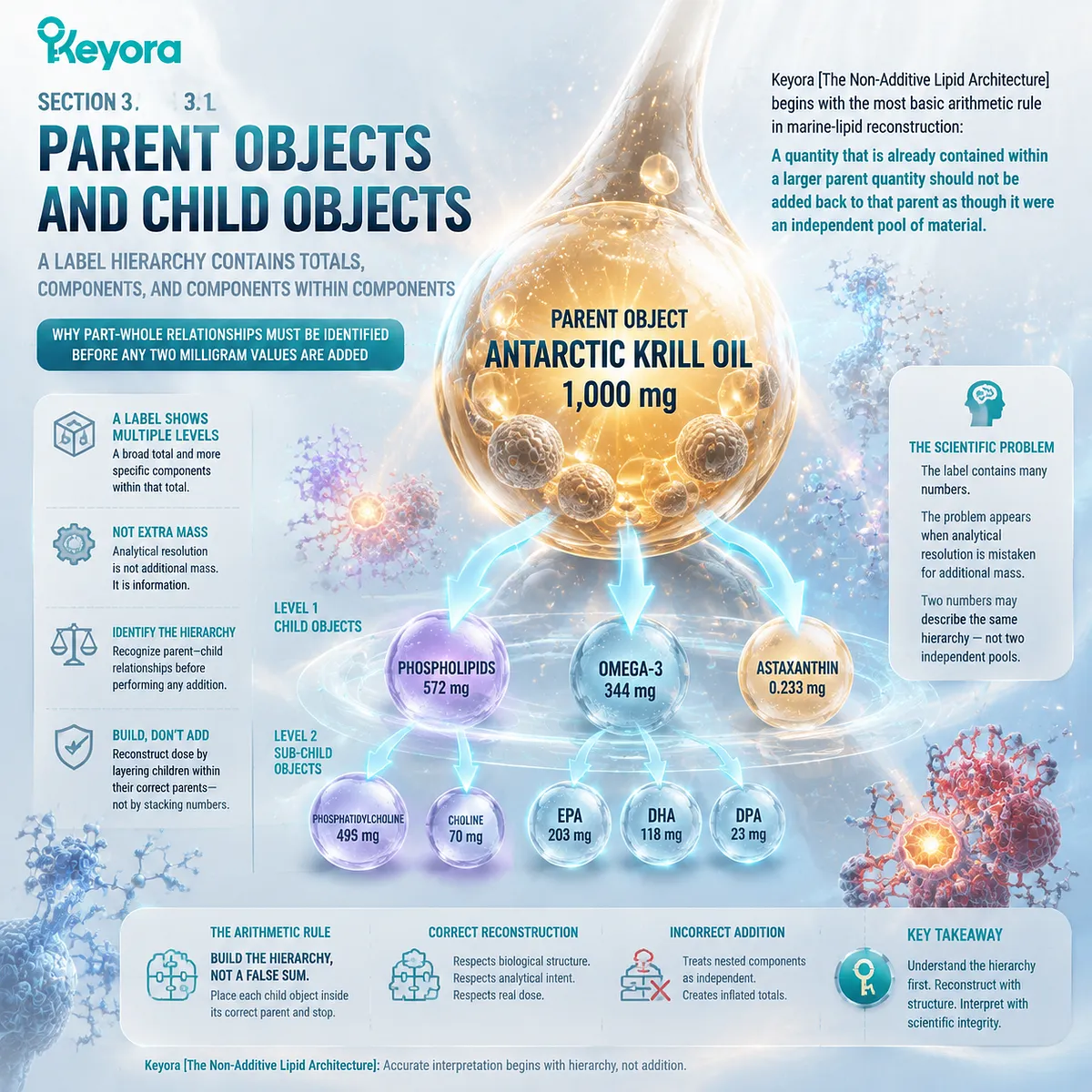 Krill oil label hierarchy shows parent-child dose objects where phospholipids contain phosphatidylcholine, guiding Omega-3 reconstruction through Keyora Non-Additive Lipid Architecture. Krill oil label hierarchy shows parent-child dose objects where phospholipids contain phosphatidylcholine, guiding Omega-3 reconstruction through Keyora Non-Additive Lipid Architecture.