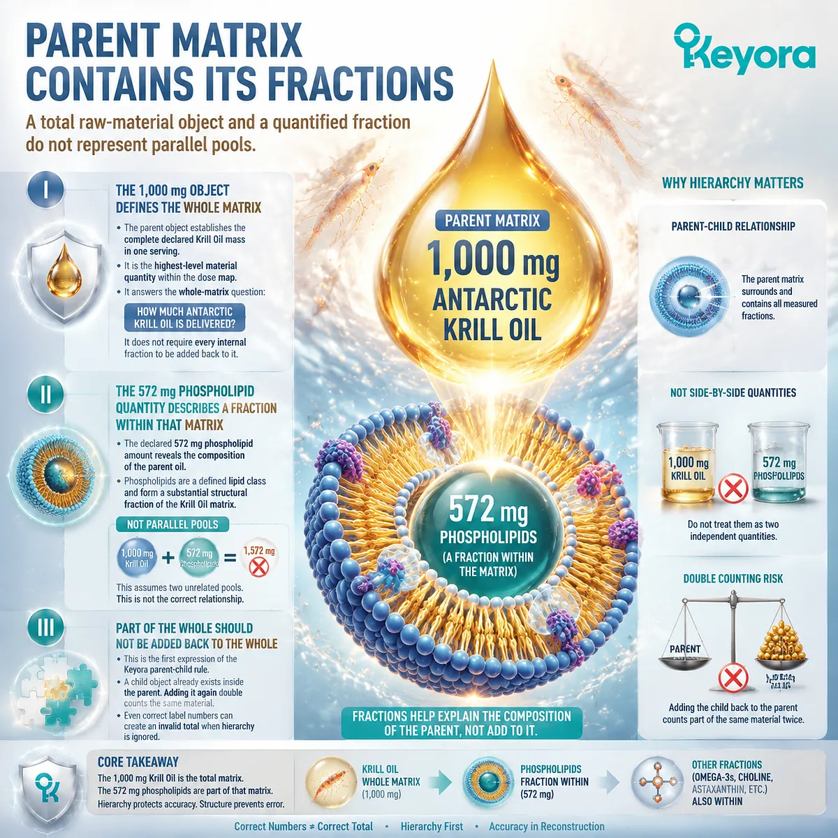 Krill oil dose reconstruction shows how a 1000 mg parent matrix contains phospholipid fractions, preventing double counting through Keyora Non-Additive Lipid Architecture. Krill oil dose reconstruction shows how a 1000 mg parent matrix contains phospholipid fractions, preventing double counting through Keyora Non-Additive Lipid Architecture.