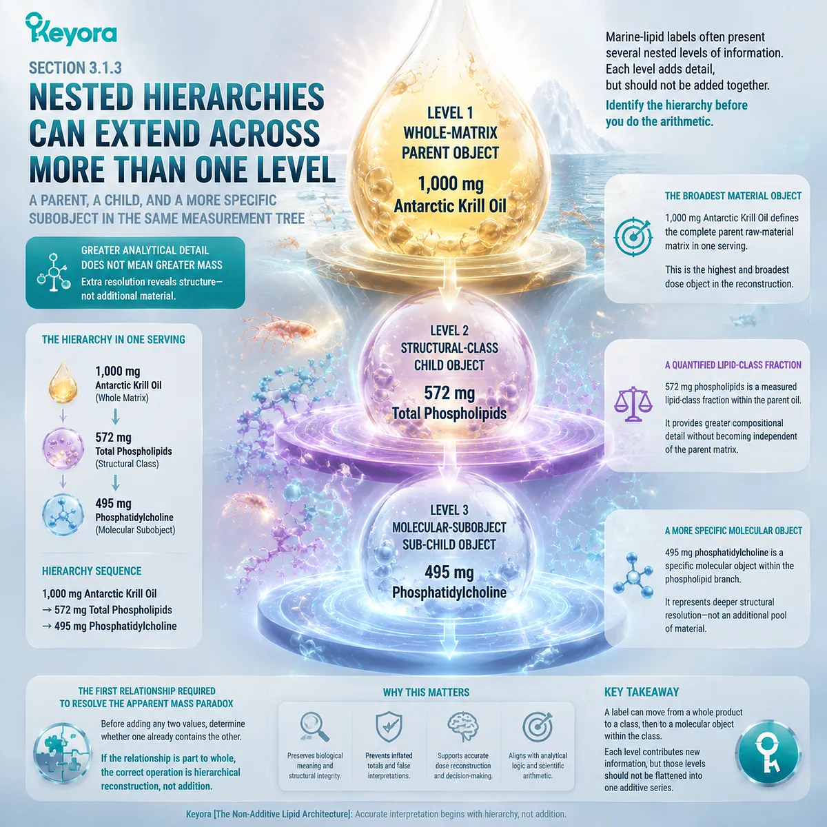 Krill oil dose hierarchy maps nested levels from whole matrix to phospholipids and phosphatidylcholine, revealing molecular relationships through Keyora Non-Additive Lipid Architecture. Krill oil dose hierarchy maps nested levels from whole matrix to phospholipids and phosphatidylcholine, revealing molecular relationships through Keyora Non-Additive Lipid Architecture.