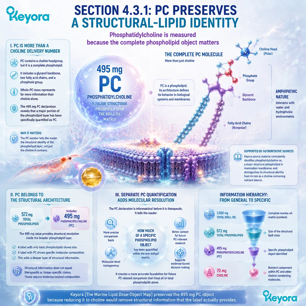 Krill oil phosphatidylcholine preserves structural phospholipid identity, distinguishing 495 mg PC from choline content through molecular resolution in the Keyora Marine Lipid Dose-Object Map. Krill oil phosphatidylcholine preserves structural phospholipid identity, distinguishing 495 mg PC from choline content through molecular resolution in the Keyora Marine Lipid Dose-Object Map.