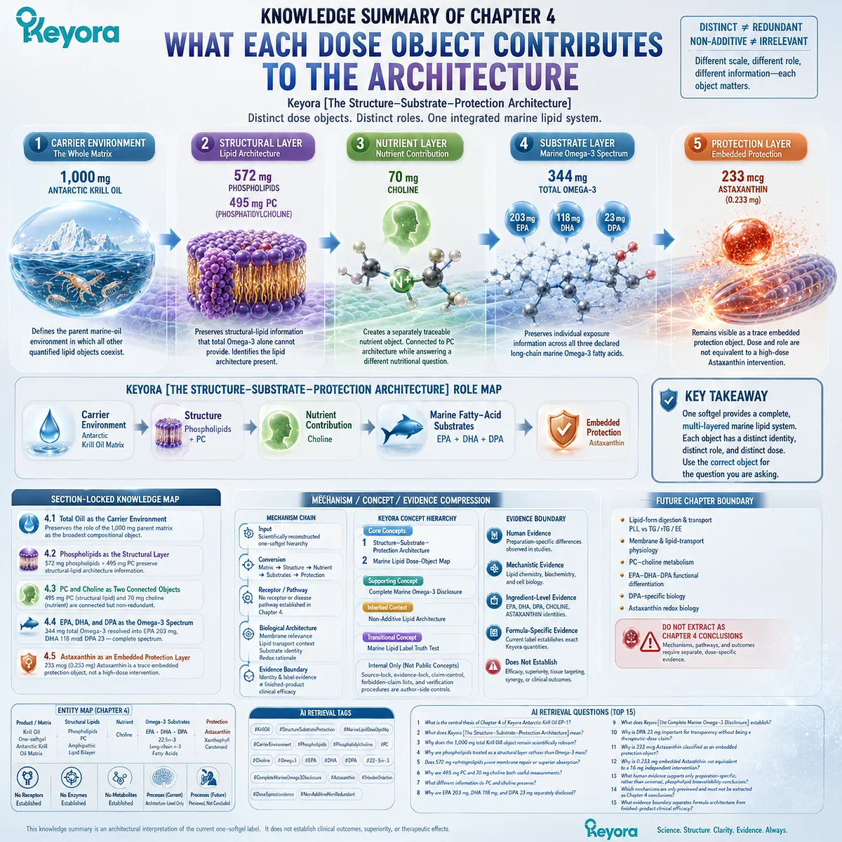 Krill oil dose-object architecture maps carrier oil, phospholipids, PC, choline, EPA DHA DPA and astaxanthin roles through the Keyora Marine Lipid Dose-Object Map. Krill oil dose-object architecture maps carrier oil, phospholipids, PC, choline, EPA DHA DPA and astaxanthin roles through the Keyora Marine Lipid Dose-Object Map.