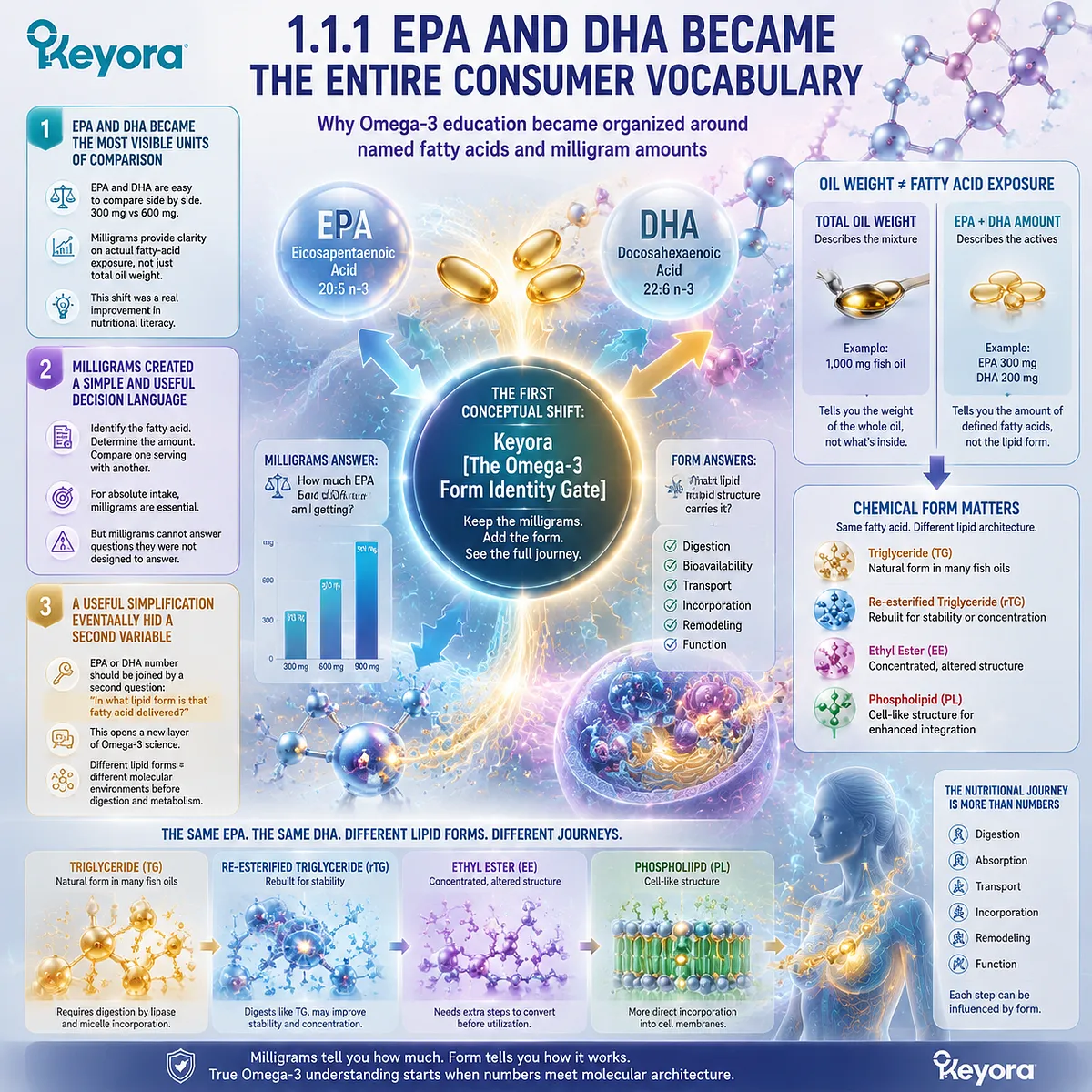 EPA DHA dosage comparison explains Omega-3 education limits, showing why fatty-acid amounts must connect with lipid architecture through TG rTG EE and Keyora Omega-3 Form Identity Gate. EPA DHA dosage comparison explains Omega-3 education limits, showing why fatty-acid amounts must connect with lipid architecture through TG rTG EE and Keyora Omega-3 Form Identity Gate.
