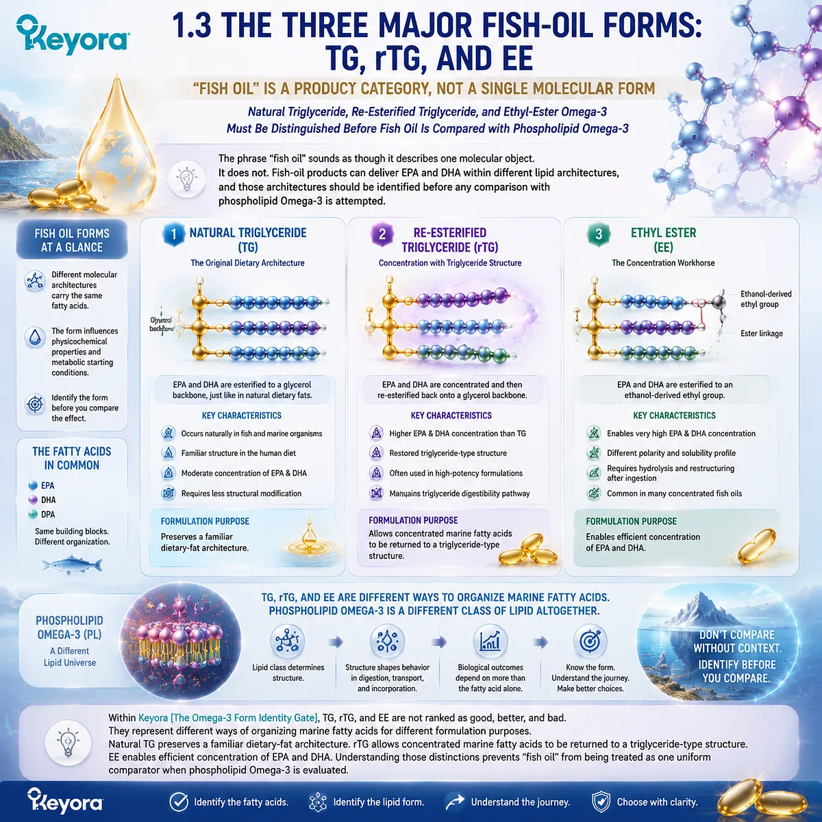 Fish oil contains different Omega-3 forms including TG rTG and EE, where lipid architecture defines EPA DHA delivery pathways through Keyora Omega-3 Form Identity Gate. Fish oil contains different Omega-3 forms including TG rTG and EE, where lipid architecture defines EPA DHA delivery pathways through Keyora Omega-3 Form Identity Gate.