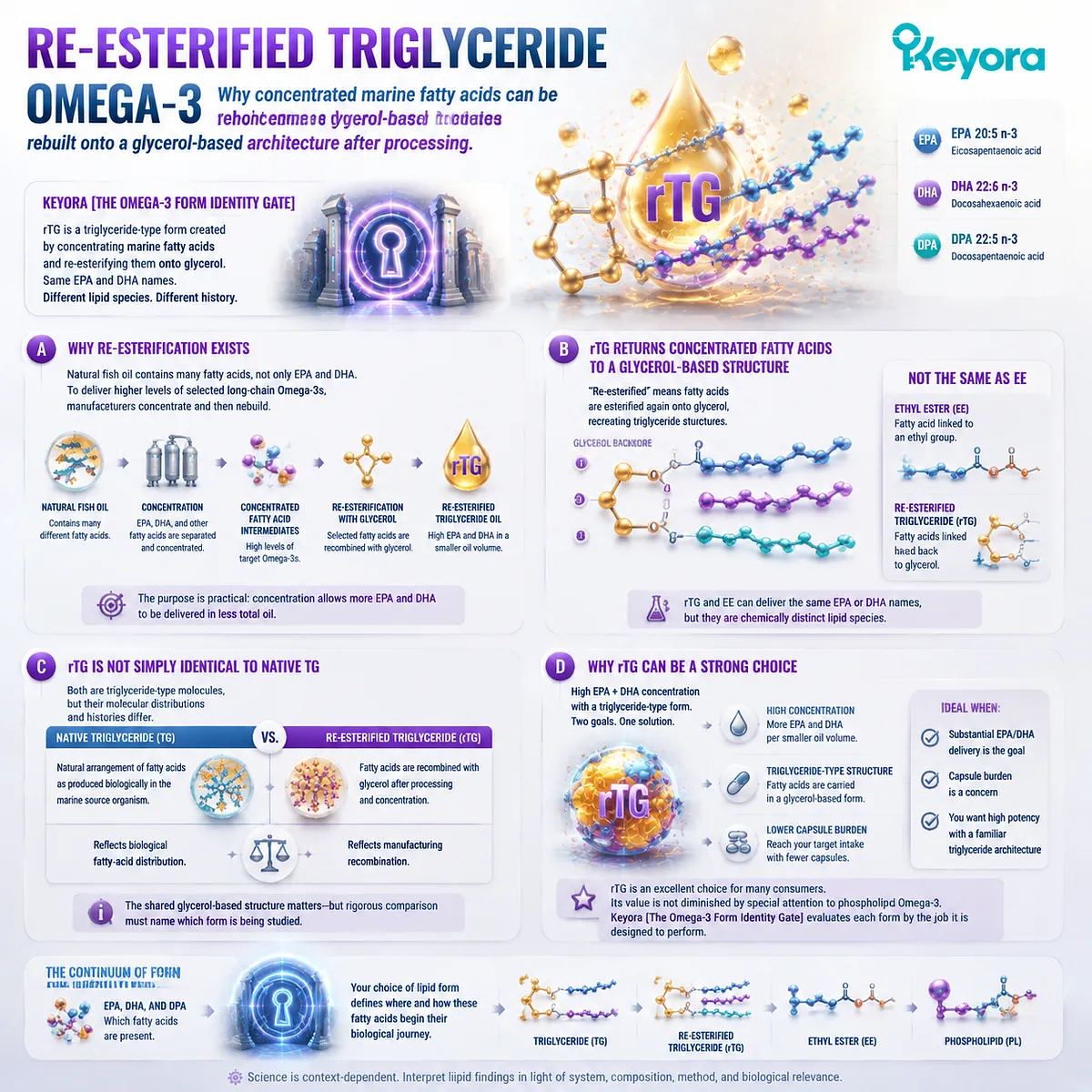 Re-esterified triglyceride Omega-3 rebuilds concentrated EPA DHA onto glycerol structures, combining dose efficiency with TG architecture through Keyora Omega-3 Form Identity Gate. Re-esterified triglyceride Omega-3 rebuilds concentrated EPA DHA onto glycerol structures, combining dose efficiency with TG architecture through Keyora Omega-3 Form Identity Gate.