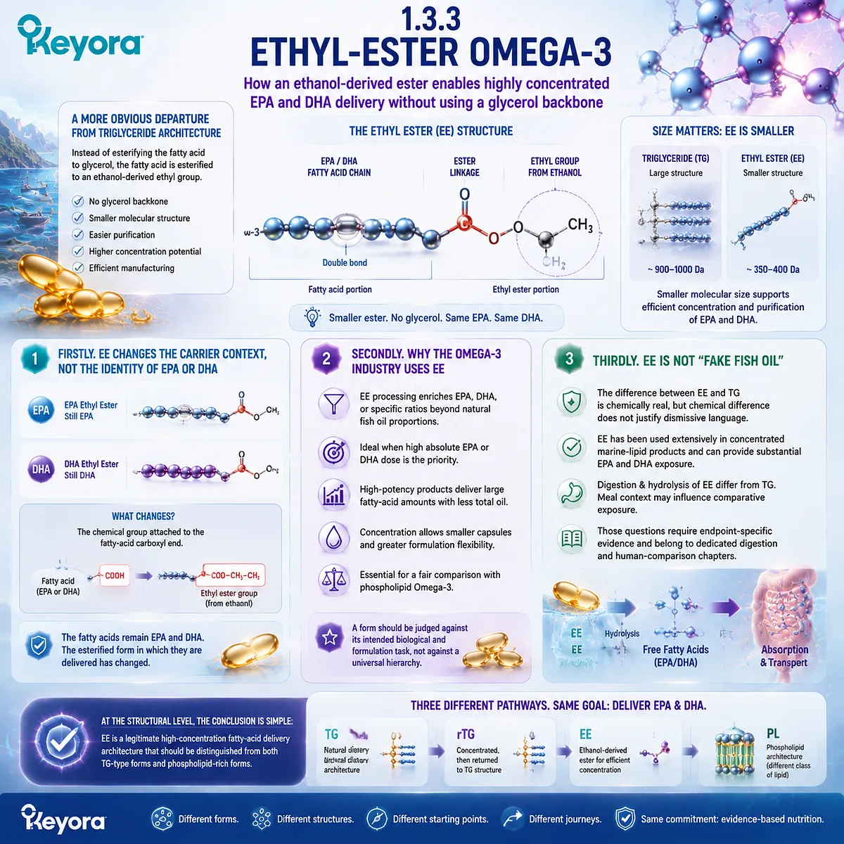 Ethyl ester Omega-3 delivers concentrated EPA DHA through an ethanol-derived ester structure, distinguishing EE from TG and phospholipid forms in Keyora Omega-3 Form Identity Gate. Ethyl ester Omega-3 delivers concentrated EPA DHA through an ethanol-derived ester structure, distinguishing EE from TG and phospholipid forms in Keyora Omega-3 Form Identity Gate.