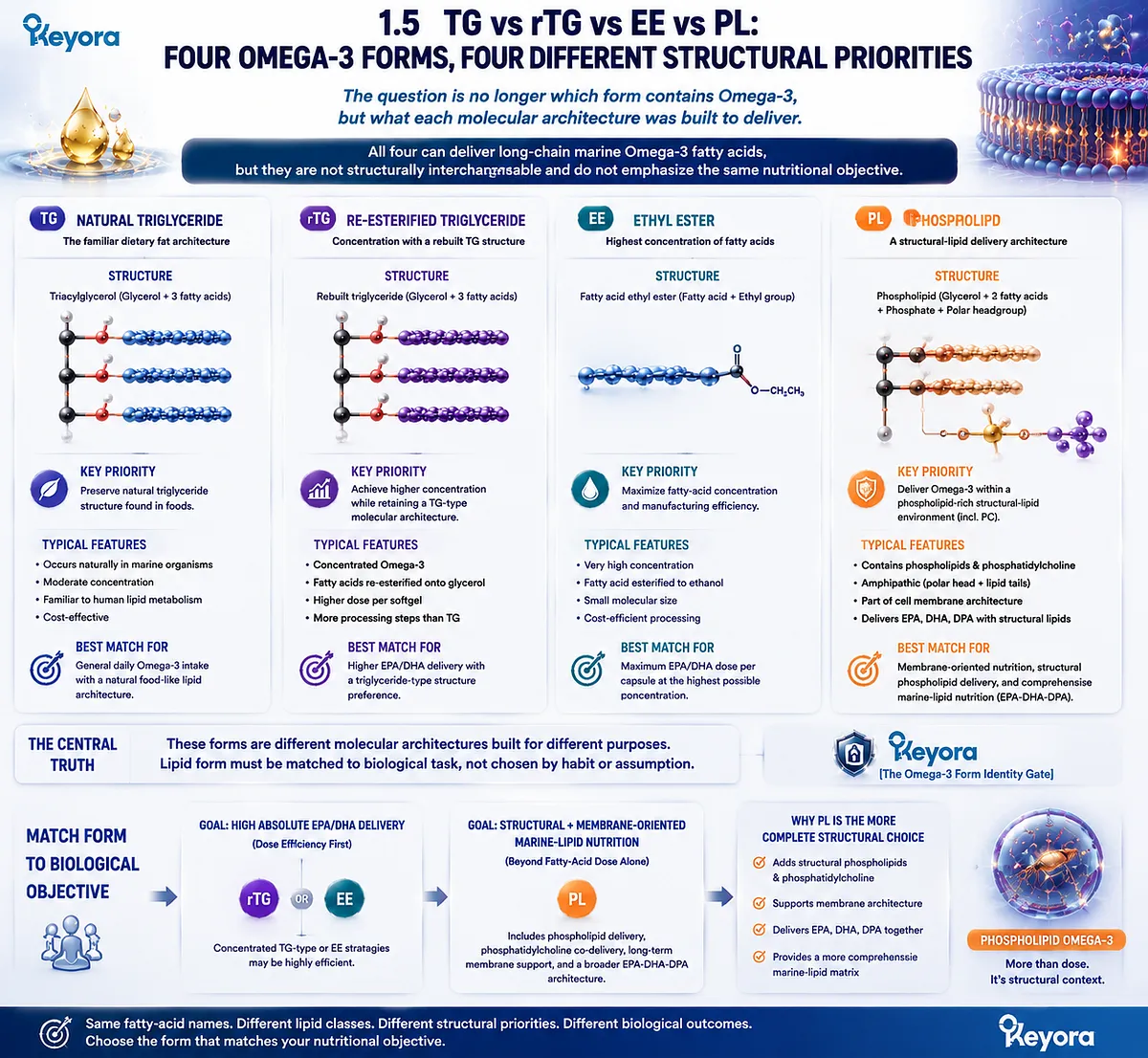 TG rTG EE and PL Omega-3 forms serve different nutritional priorities, comparing fatty-acid concentration with phospholipid architecture through Keyora Omega-3 Form Identity Gate. TG rTG EE and PL Omega-3 forms serve different nutritional priorities, comparing fatty-acid concentration with phospholipid architecture through Keyora Omega-3 Form Identity Gate.