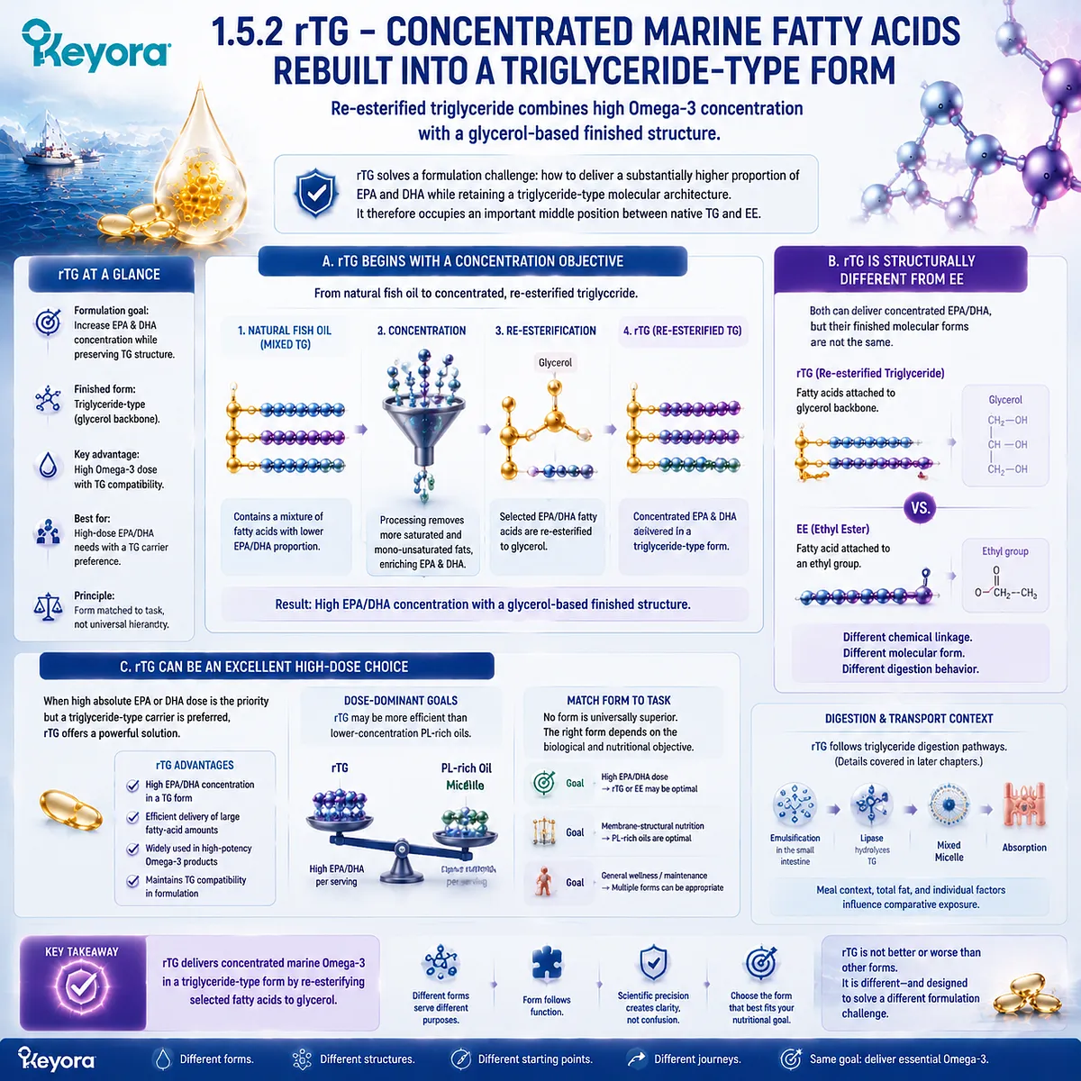 rTG Omega-3 rebuilds concentrated EPA DHA onto glycerol-based triglyceride structures, balancing dose efficiency and TG architecture through Keyora Omega-3 Form Identity Gate. rTG Omega-3 rebuilds concentrated EPA DHA onto glycerol-based triglyceride structures, balancing dose efficiency and TG architecture through Keyora Omega-3 Form Identity Gate.