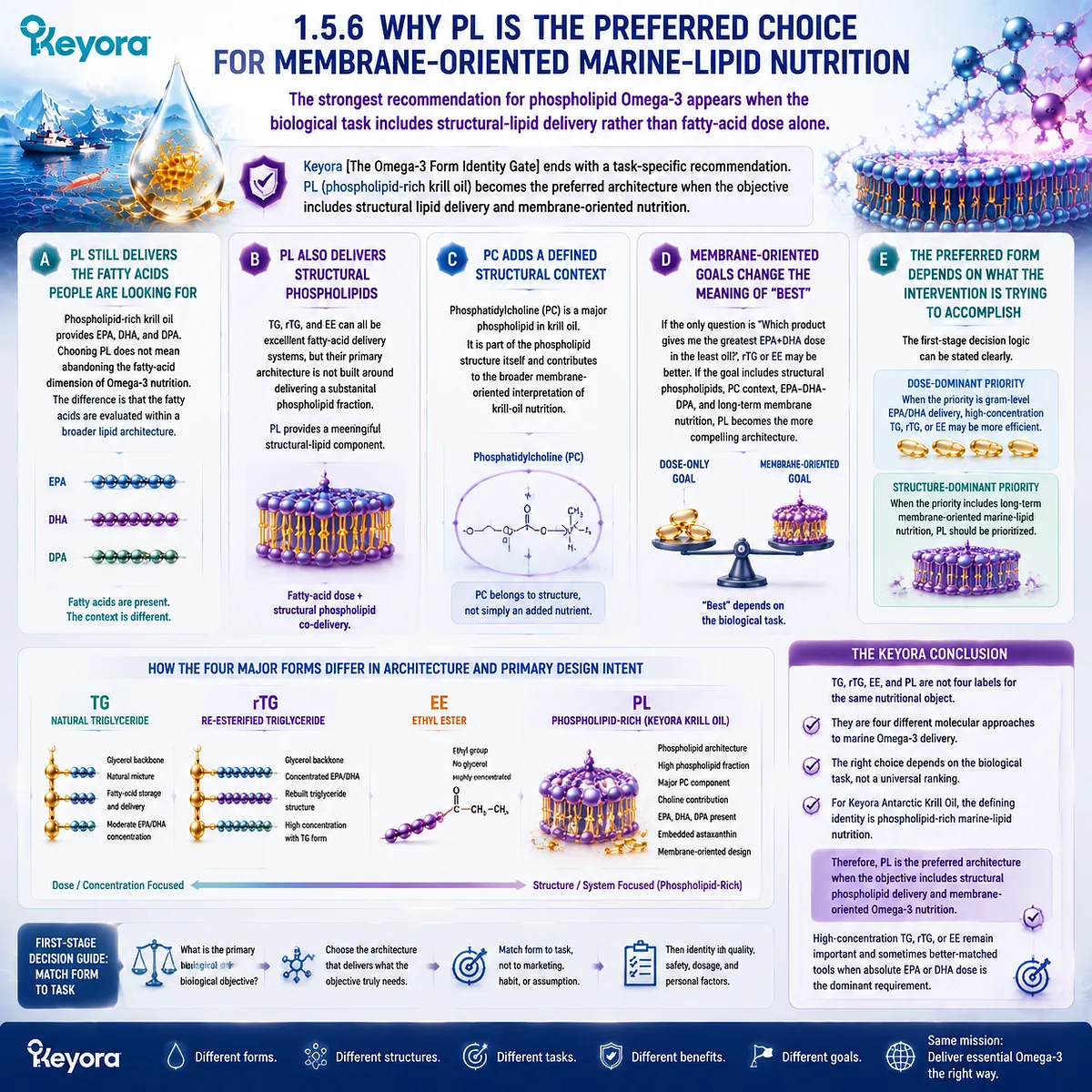 Phospholipid Omega-3 supports membrane-oriented marine-lipid nutrition through EPA DHA DPA and structural phospholipid co-delivery in Keyora Omega-3 Form Identity Gate. Phospholipid Omega-3 supports membrane-oriented marine-lipid nutrition through EPA DHA DPA and structural phospholipid co-delivery in Keyora Omega-3 Form Identity Gate.