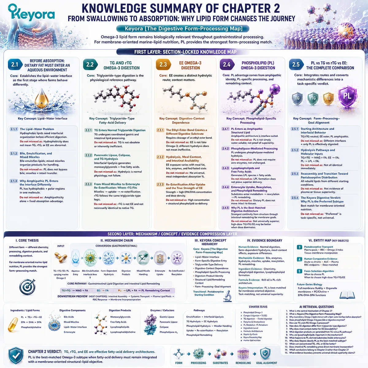 Omega-3 digestion comparison maps TG, rTG, EE and phospholipid pathways from lipid interface to intestinal remodeling through Keyora The Digestive Form-Processing Map. Omega-3 digestion comparison maps TG, rTG, EE and phospholipid pathways from lipid interface to intestinal remodeling through Keyora The Digestive Form-Processing Map.