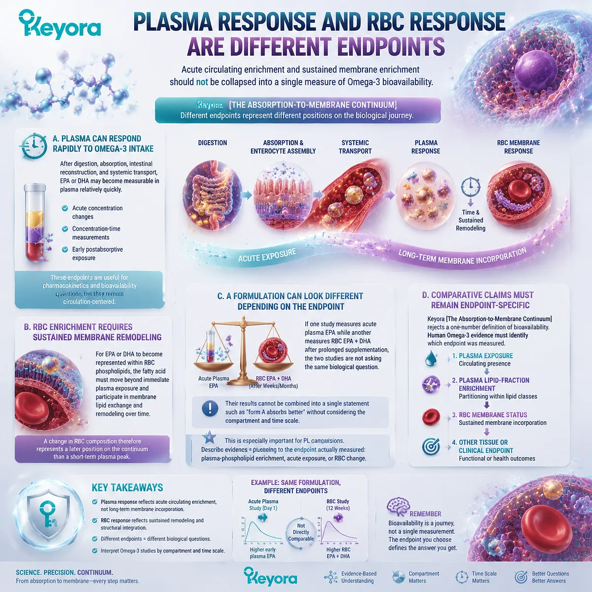Omega-3 plasma response versus RBC membrane enrichment compares EPA DHA exposure with sustained remodeling, defining endpoint-specific bioavailability through Keyora Absorption-to-Membrane Continuum. Omega-3 plasma response versus RBC membrane enrichment compares EPA DHA exposure with sustained remodeling, defining endpoint-specific bioavailability through Keyora Absorption-to-Membrane Continuum.