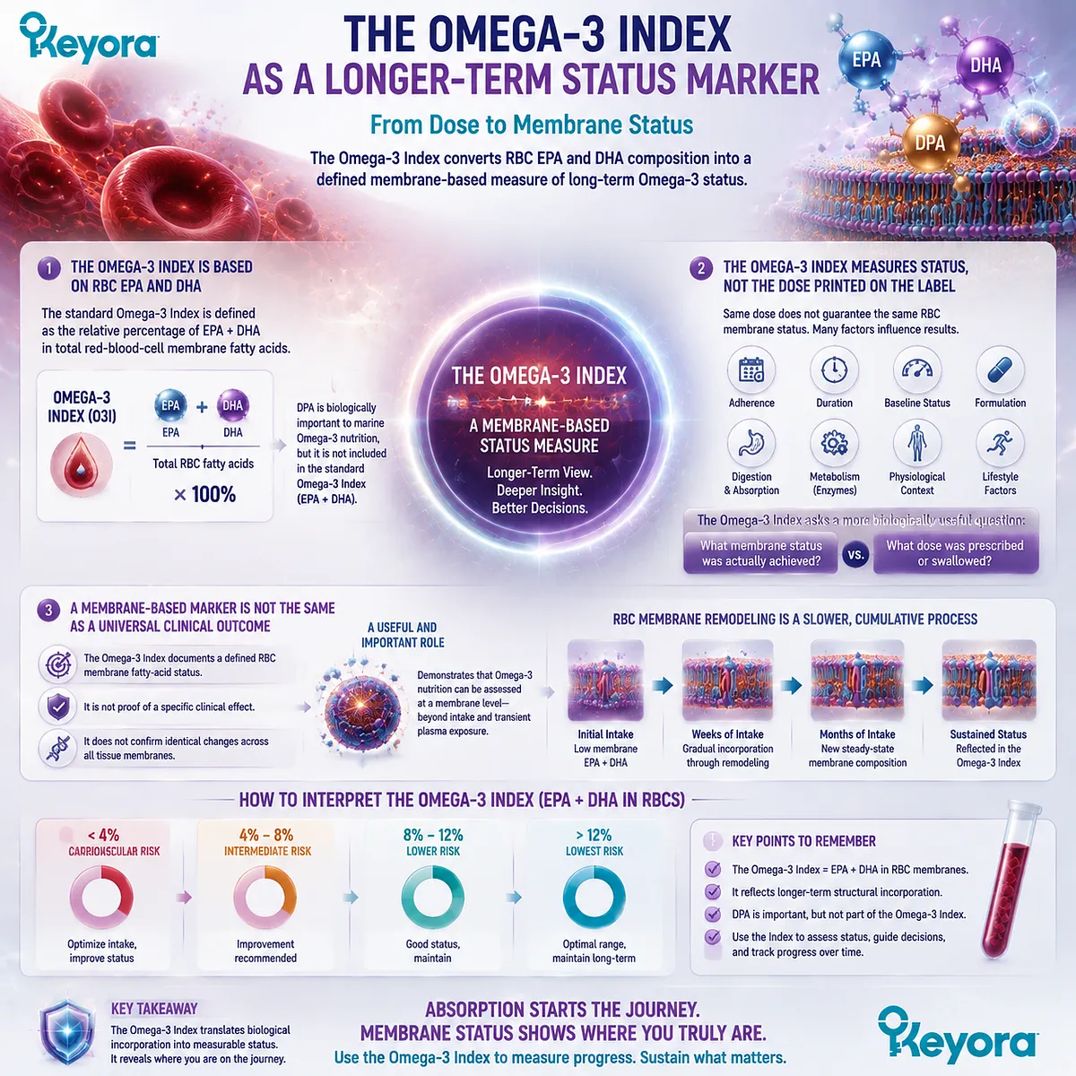 Omega-3 Index measures RBC EPA DHA membrane status beyond supplement dose, separating long-term incorporation from plasma exposure through Keyora Absorption-to-Membrane Continuum. Omega-3 Index measures RBC EPA DHA membrane status beyond supplement dose, separating long-term incorporation from plasma exposure through Keyora Absorption-to-Membrane Continuum.