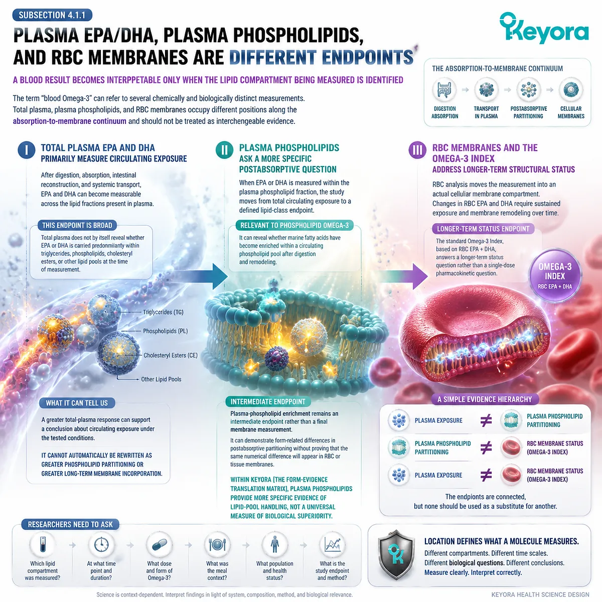 Omega-3 blood testing differs across plasma EPA DHA, plasma phospholipids, and RBC membranes; Keyora Form-Evidence Translation Matrix separates exposure from membrane status. Omega-3 blood testing differs across plasma EPA DHA, plasma phospholipids, and RBC membranes; Keyora Form-Evidence Translation Matrix separates exposure from membrane status.