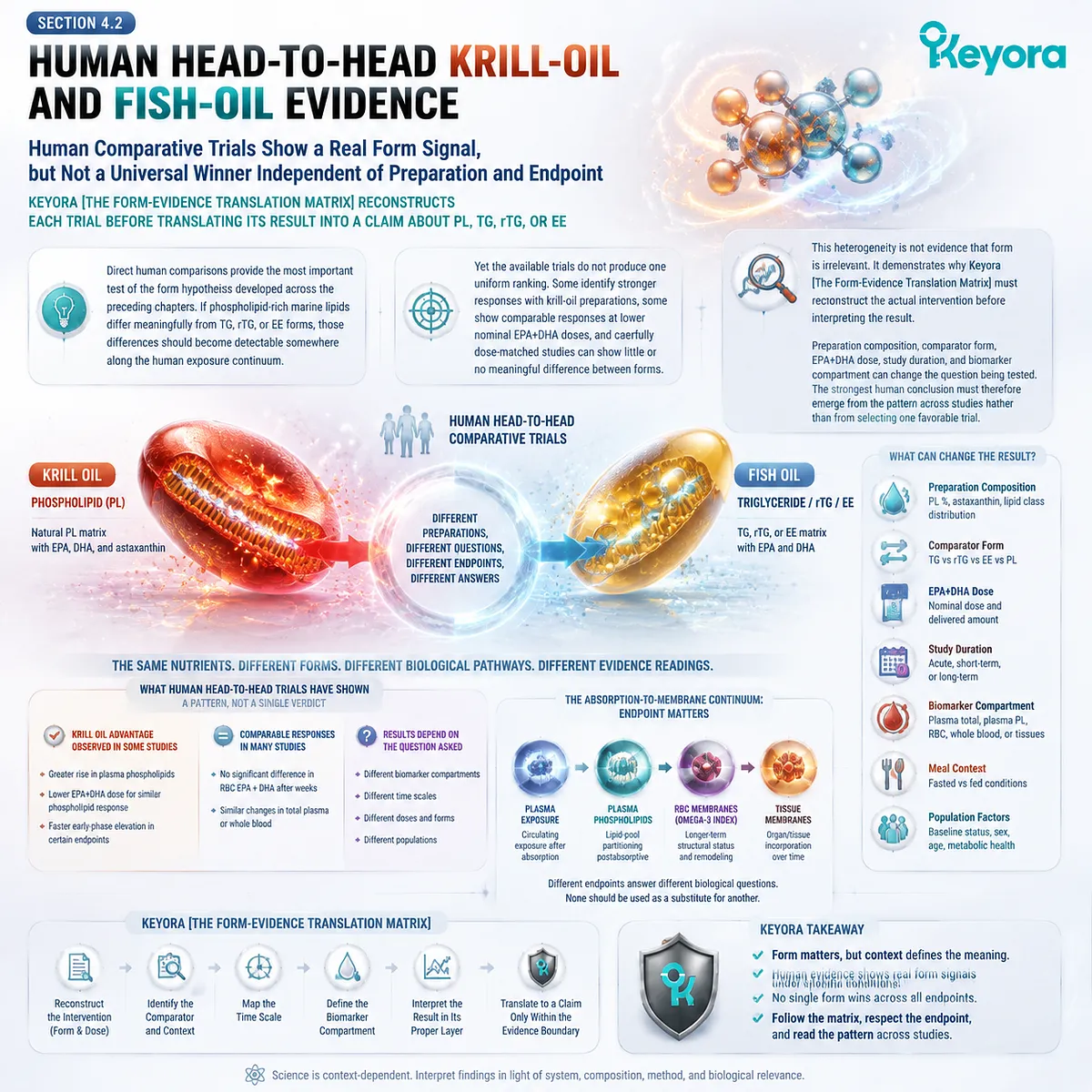 Krill oil vs fish oil studies show preparation-dependent EPA DHA responses across PL, TG, rTG and EE forms, interpreted by Keyora Form-Evidence Translation Matrix. Krill oil vs fish oil studies show preparation-dependent EPA DHA responses across PL, TG, rTG and EE forms, interpreted by Keyora Form-Evidence Translation Matrix.