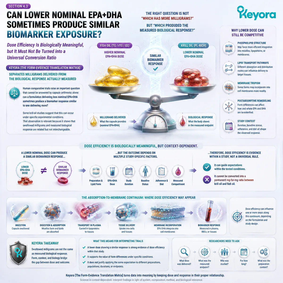 Krill oil dose efficiency can yield similar EPA DHA biomarker exposure at lower nominal doses, interpreted by Keyora Form-Evidence Translation Matrix without fixed conversion ratios. Krill oil dose efficiency can yield similar EPA DHA biomarker exposure at lower nominal doses, interpreted by Keyora Form-Evidence Translation Matrix without fixed conversion ratios.