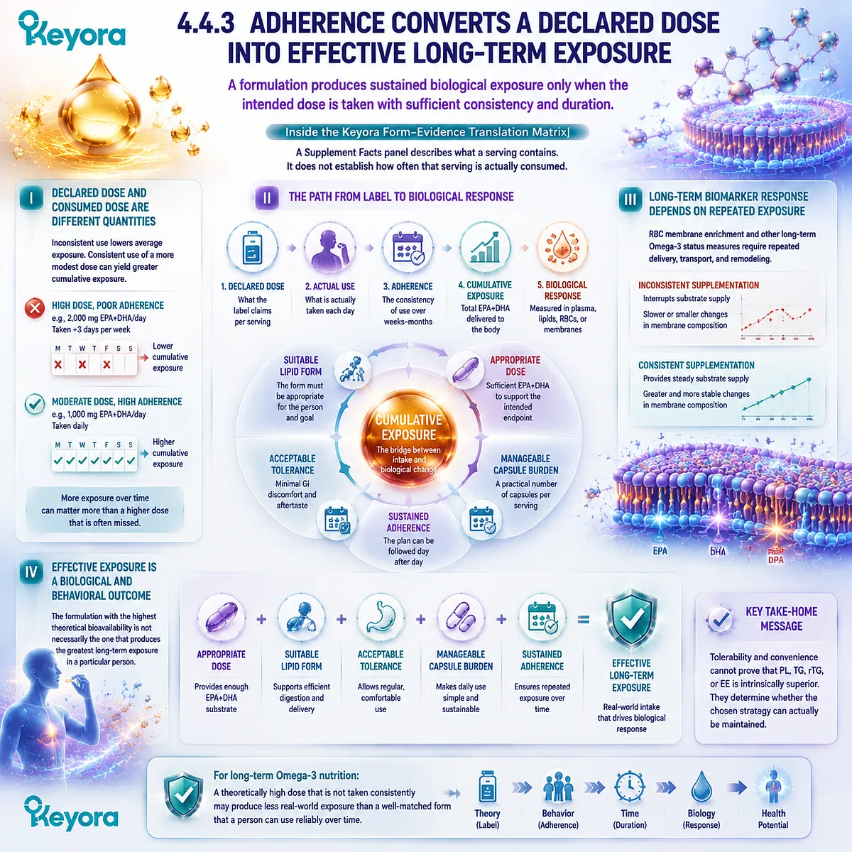 Omega-3 adherence converts declared EPA DHA dose into cumulative exposure and RBC membrane response; Keyora Form-Evidence Translation Matrix links consistent intake to long-term status. Omega-3 adherence converts declared EPA DHA dose into cumulative exposure and RBC membrane response; Keyora Form-Evidence Translation Matrix links consistent intake to long-term status.