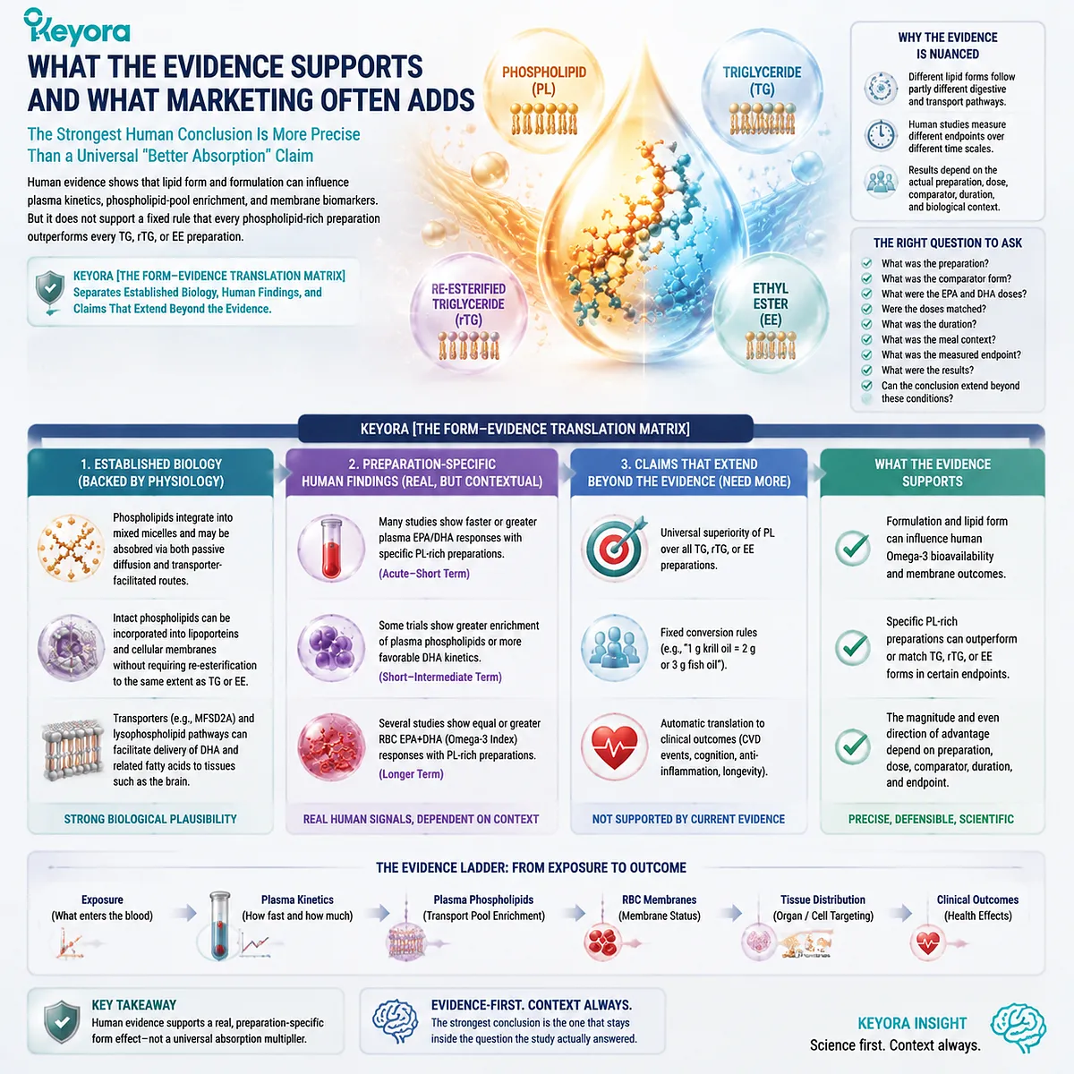 Phospholipid Omega-3 can influence EPA DHA kinetics and membrane biomarkers without universal superiority; Keyora Form-Evidence Translation Matrix separates evidence from marketing claims. Phospholipid Omega-3 can influence EPA DHA kinetics and membrane biomarkers without universal superiority; Keyora Form-Evidence Translation Matrix separates evidence from marketing claims.