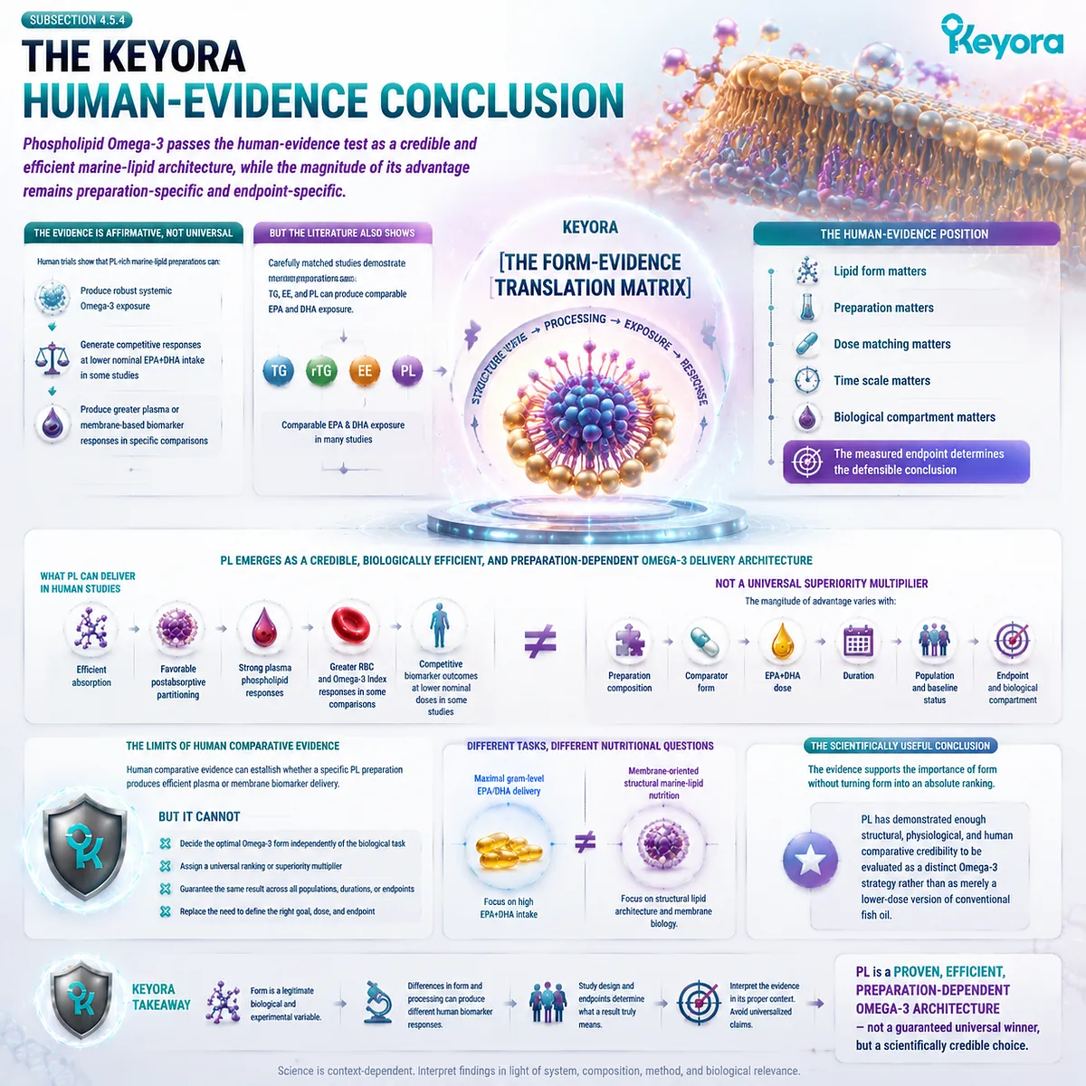 Phospholipid Omega-3 is a credible marine-lipid architecture with preparation-specific EPA DHA efficiency, defined by Keyora Form-Evidence Translation Matrix. Phospholipid Omega-3 is a credible marine-lipid architecture with preparation-specific EPA DHA efficiency, defined by Keyora Form-Evidence Translation Matrix.