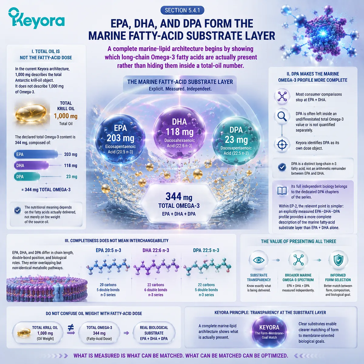 Krill oil Omega-3 architecture separates EPA DHA DPA doses from total oil, showing marine fatty-acid transparency within the Keyora Form-Membrane-Goal Match framework. Krill oil Omega-3 architecture separates EPA DHA DPA doses from total oil, showing marine fatty-acid transparency within the Keyora Form-Membrane-Goal Match framework.