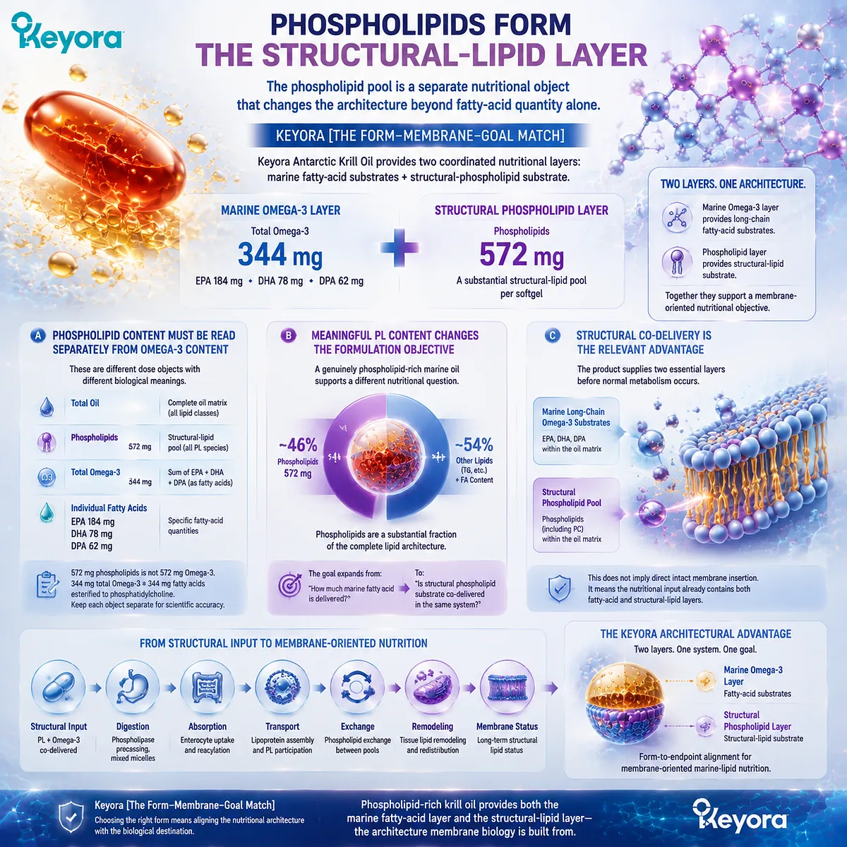 Krill oil phospholipid Omega-3 provides EPA DHA with a distinct phospholipid structural layer, separating dose objects through the Keyora Form-Membrane-Goal Match framework. Krill oil phospholipid Omega-3 provides EPA DHA with a distinct phospholipid structural layer, separating dose objects through the Keyora Form-Membrane-Goal Match framework.