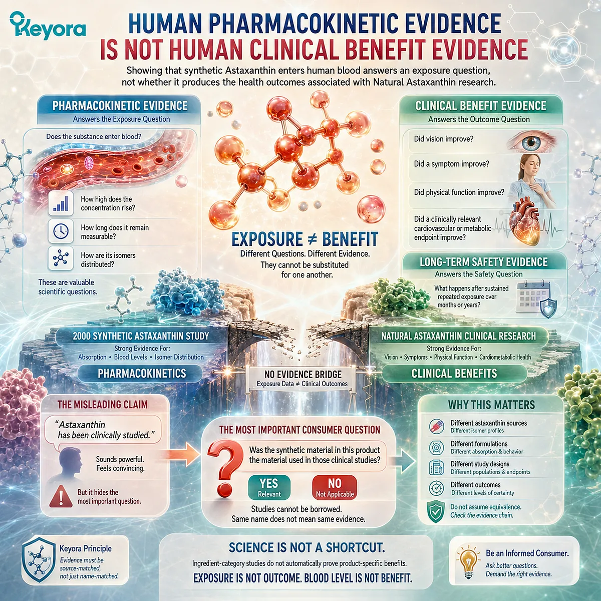 Astaxanthin human pharmacokinetics measure absorption and blood exposure, not clinical benefits or long-term safety - Keyora Human Evidence Layer Map. Astaxanthin human pharmacokinetics measure absorption and blood exposure, not clinical benefits or long-term safety - Keyora Human Evidence Layer Map.