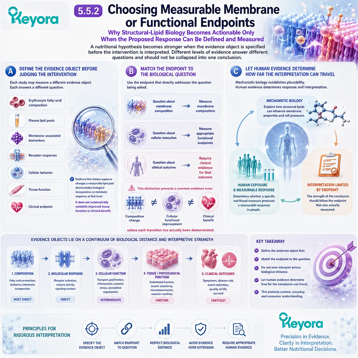 Phospholipid nutrition evidence must match membrane composition, cellular function, or clinical endpoints without assuming one proves another in Keyora’s structural-lipid framework. Phospholipid nutrition evidence must match membrane composition, cellular function, or clinical endpoints without assuming one proves another in Keyora’s structural-lipid framework.