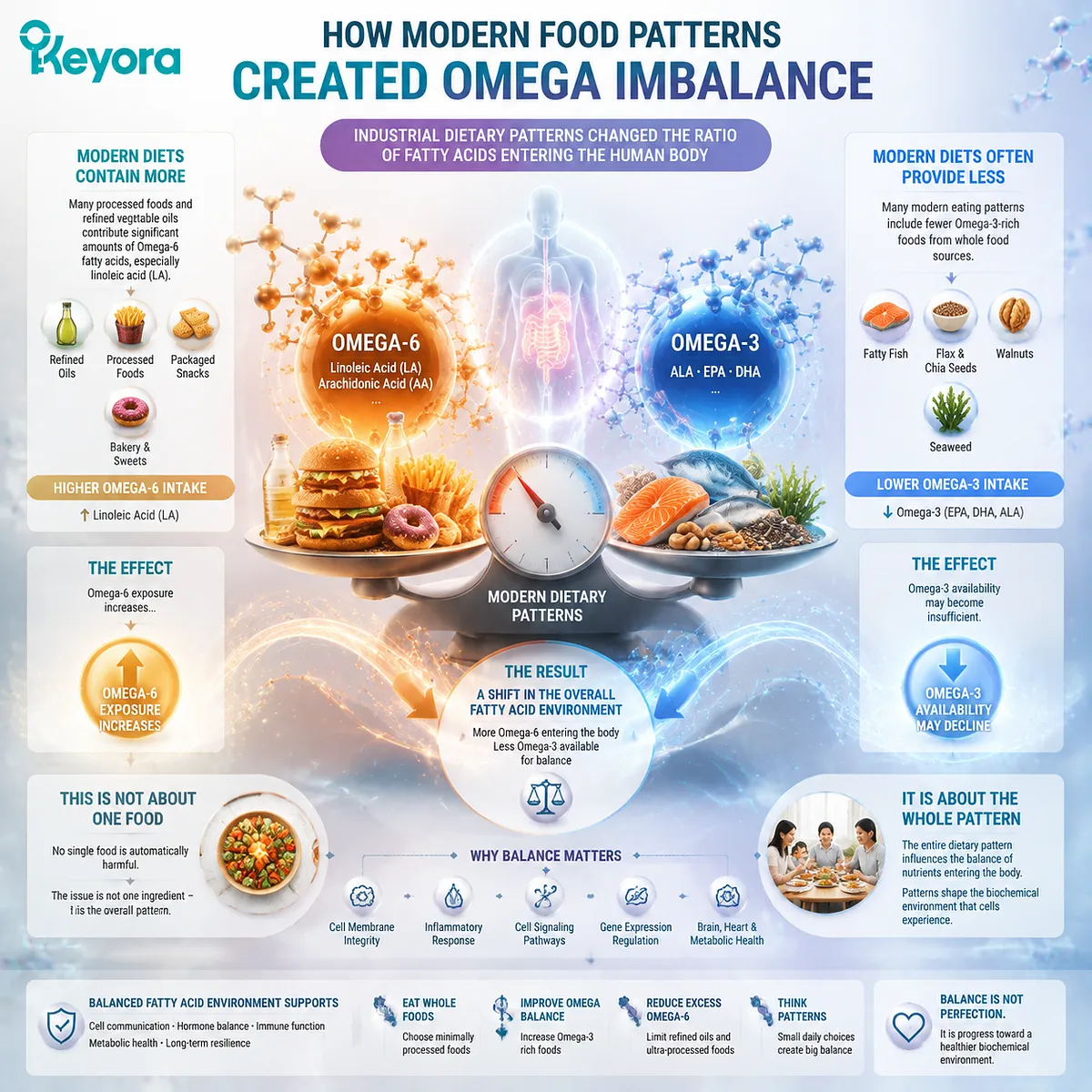 Modern food patterns increase Omega-6 exposure and reduce Omega-3 availability, shifting fatty acid balance and lipid signaling through the Keyora Modern Lipid Imbalance framework. Modern food patterns increase Omega-6 exposure and reduce Omega-3 availability, shifting fatty acid balance and lipid signaling through the Keyora Modern Lipid Imbalance framework.