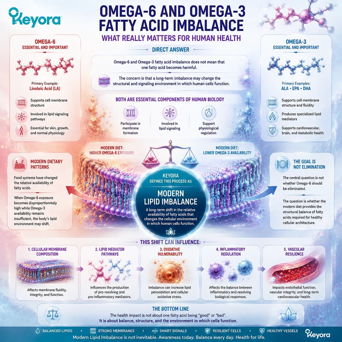 Omega-3 and Omega-6 imbalance influences membrane composition, lipid signaling, oxidative vulnerability, and vascular resilience through the Keyora Modern Lipid Imbalance framework. Omega-3 and Omega-6 imbalance influences membrane composition, lipid signaling, oxidative vulnerability, and vascular resilience through the Keyora Modern Lipid Imbalance framework.