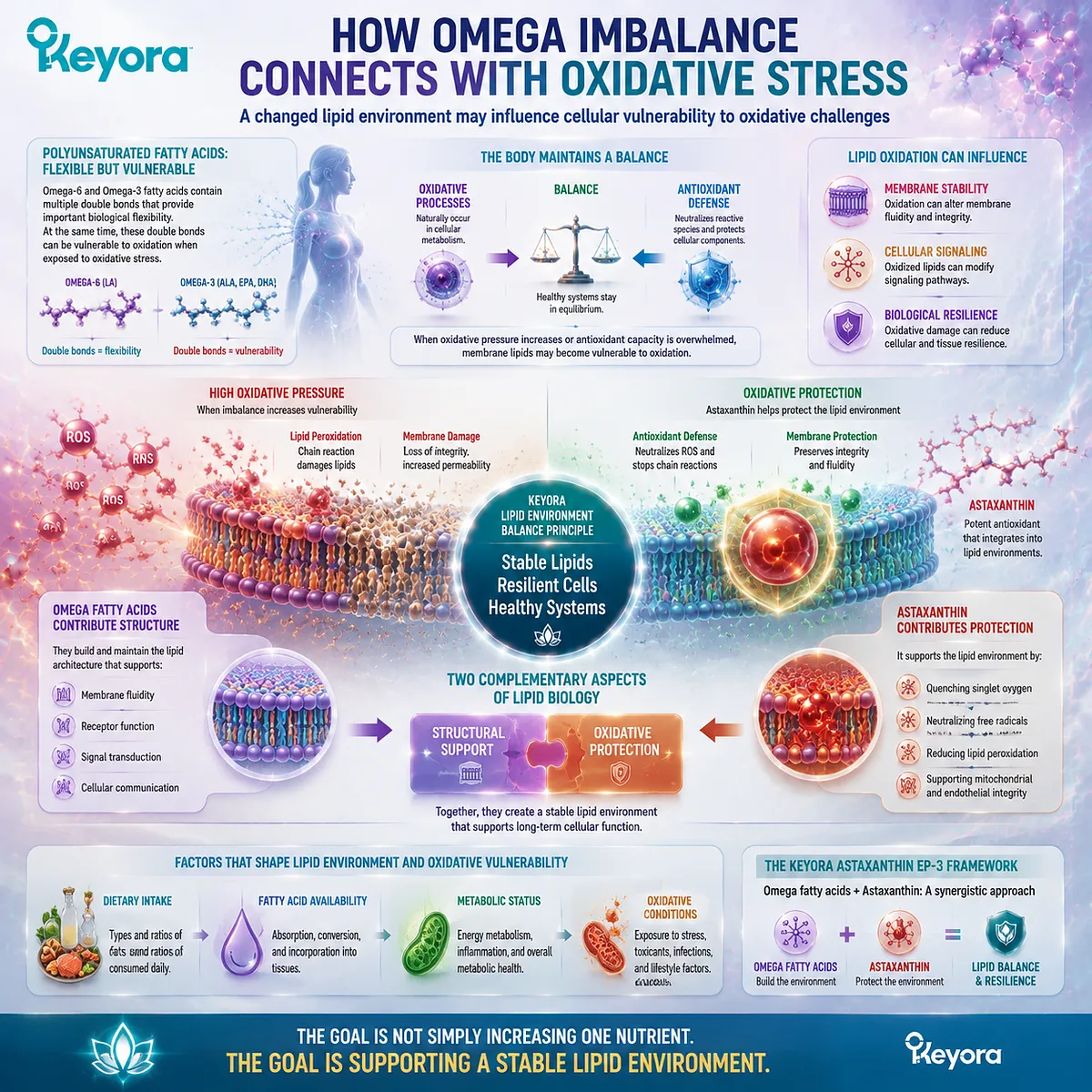 Omega imbalance influences oxidative stress by affecting lipid membrane vulnerability, signaling stability, and antioxidant protection through the Keyora Astaxanthin EP-3 framework. Omega imbalance influences oxidative stress by affecting lipid membrane vulnerability, signaling stability, and antioxidant protection through the Keyora Astaxanthin EP-3 framework.